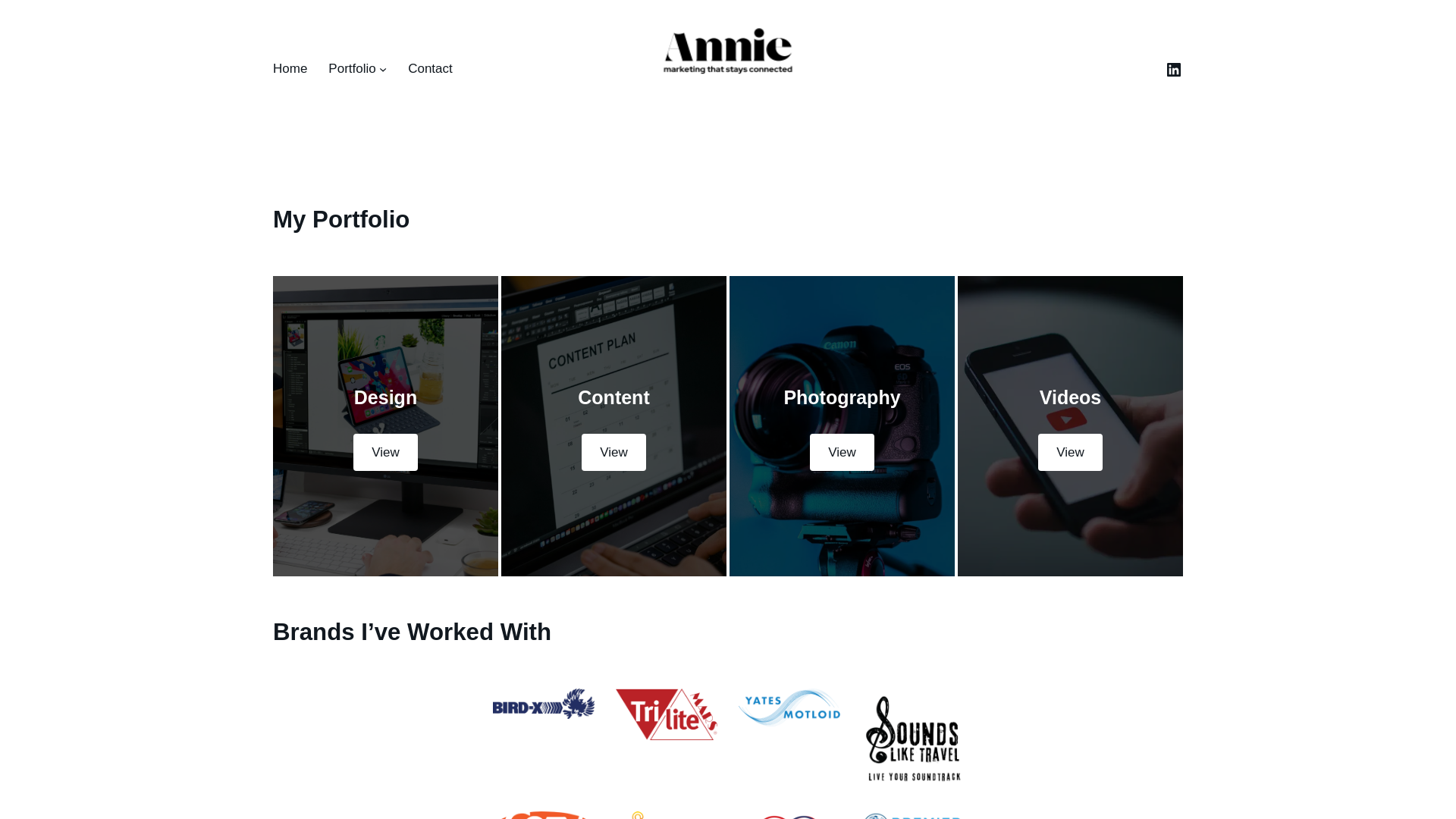 website screenshot of https://annietraygavin.com