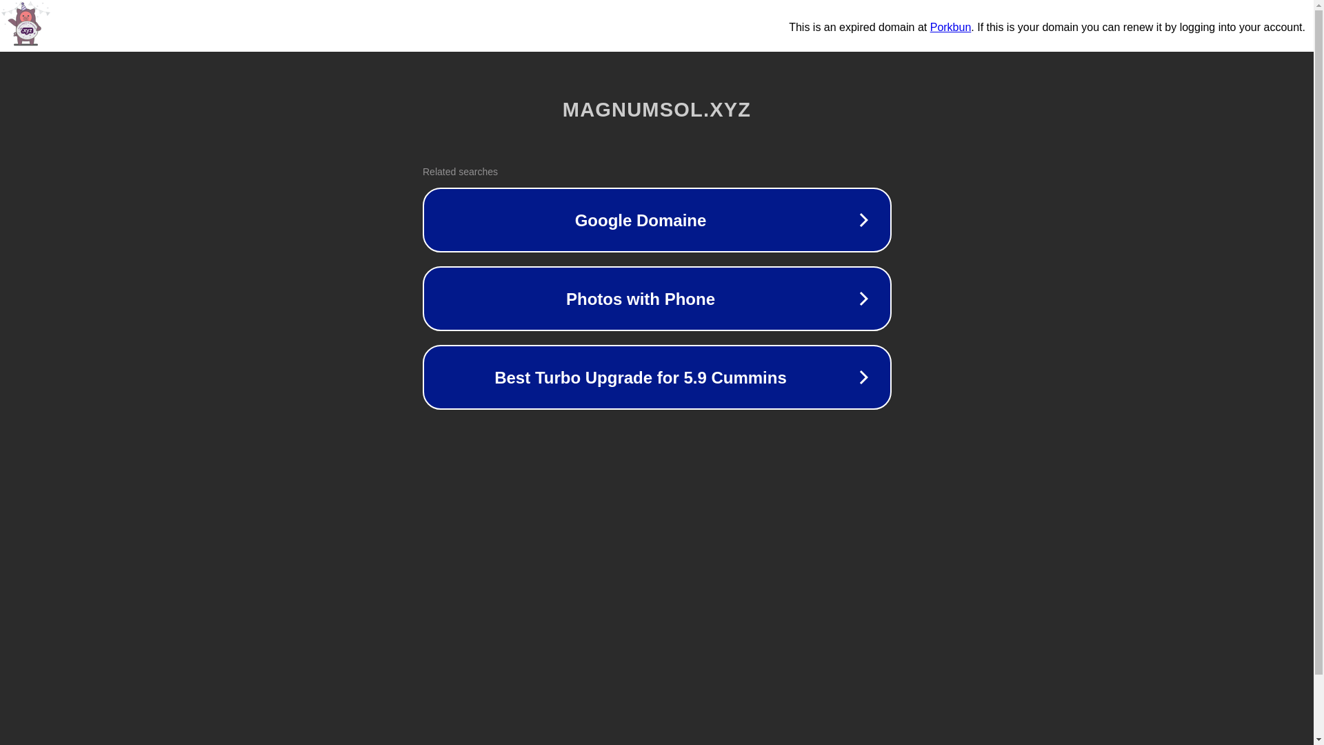 website screenshot of https://magnumsol.xyz/