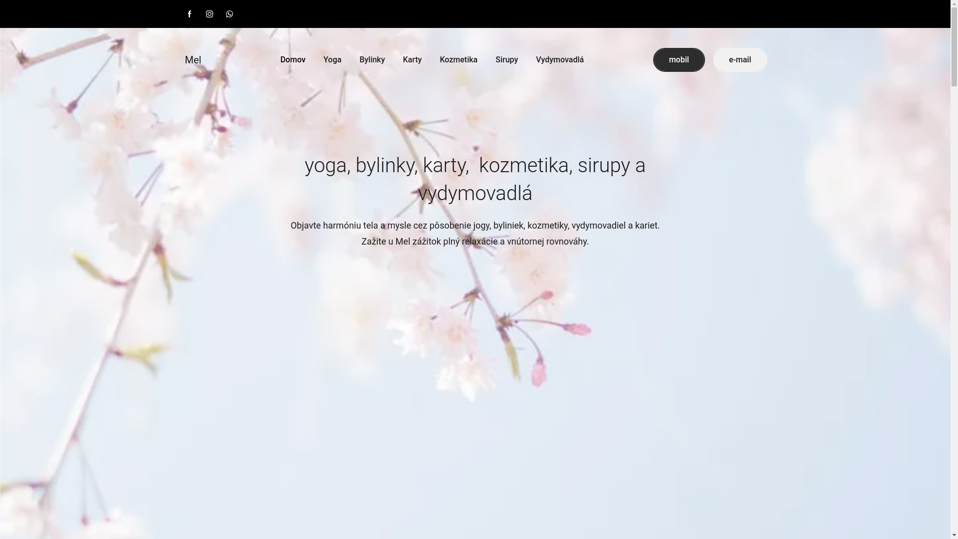 website screenshot of https://mayati.sk/
