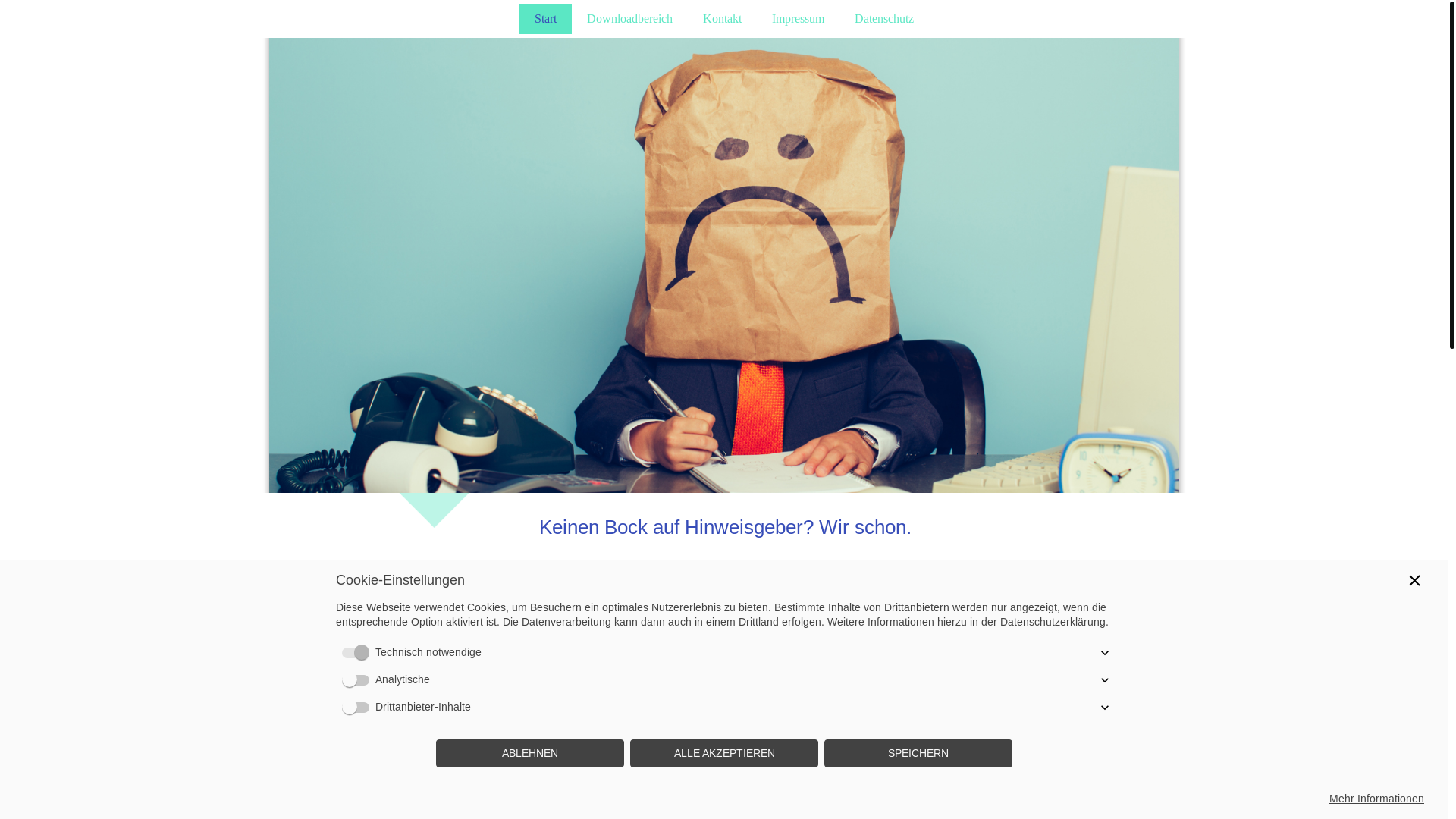 website screenshot of https://cybersicherheit-nis2.de/
