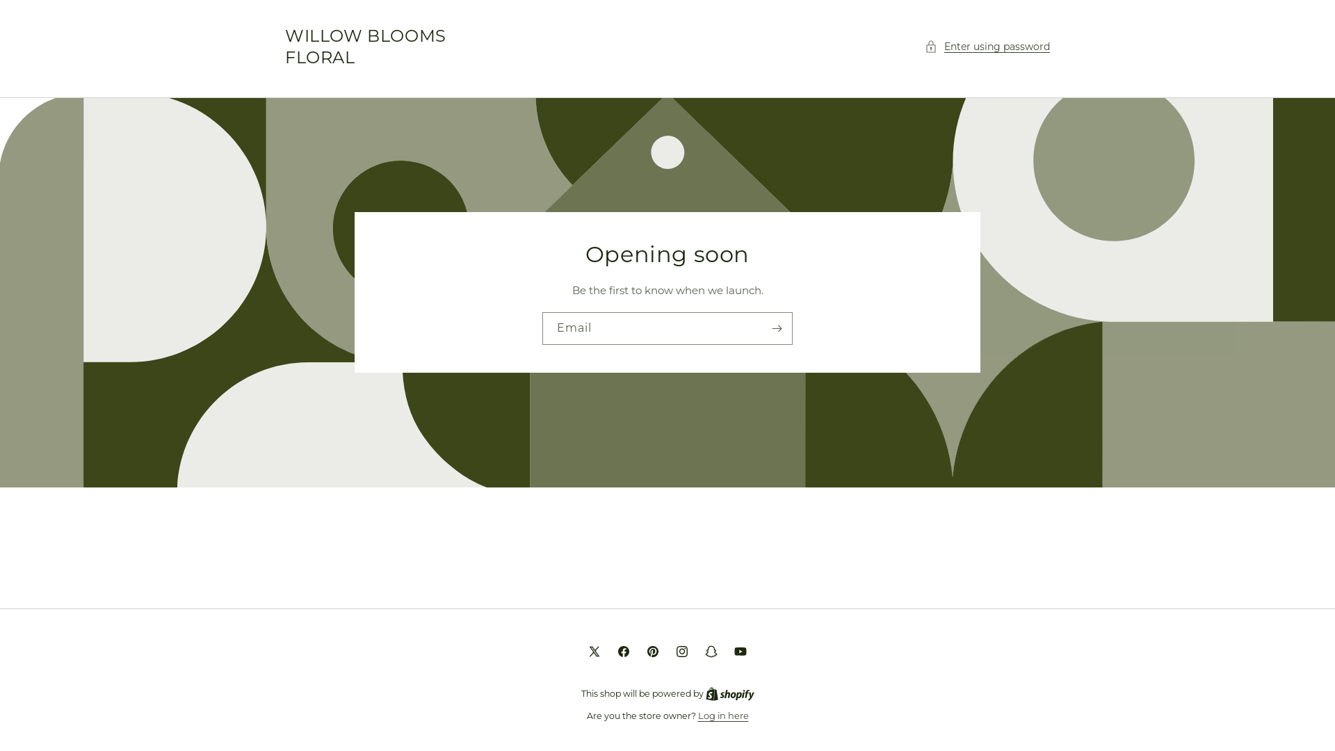 website screenshot of https://willowbloomsflorist.com/