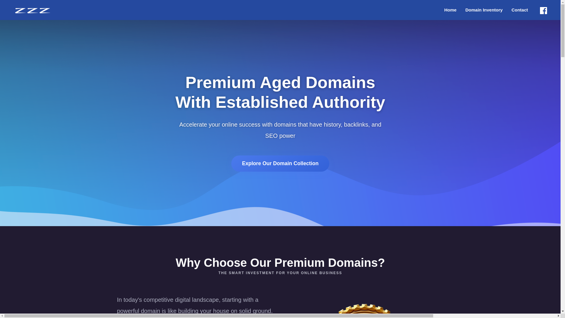 website screenshot of https://zzzdomains.pages.dev/