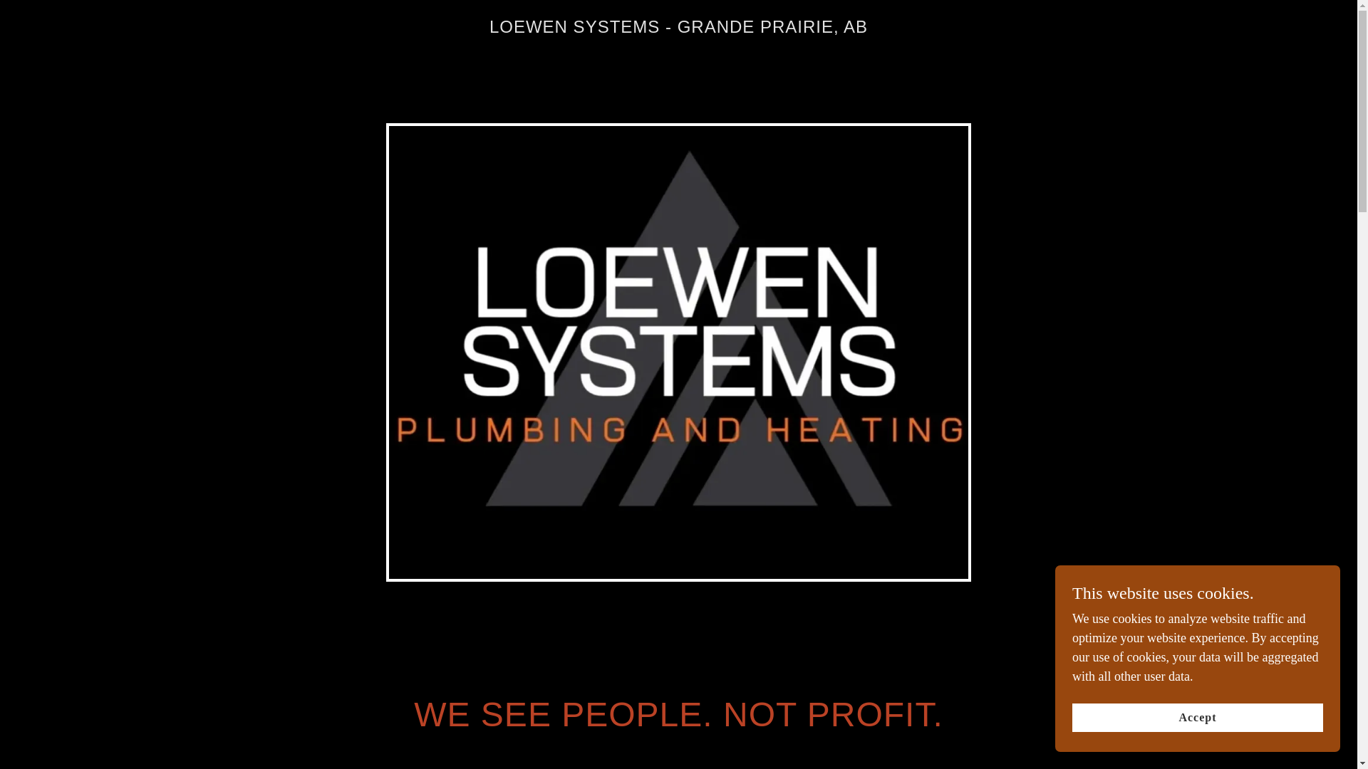 website screenshot of https://loewensystems.ca/