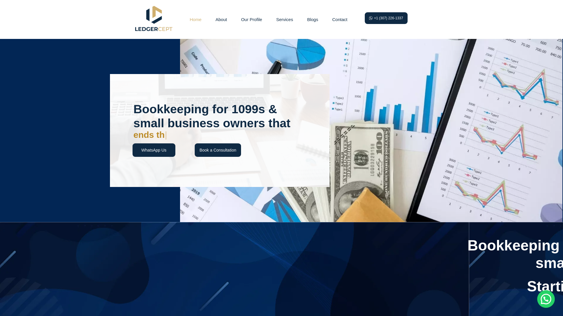 website screenshot of https://ledgerceptfinancial.com/