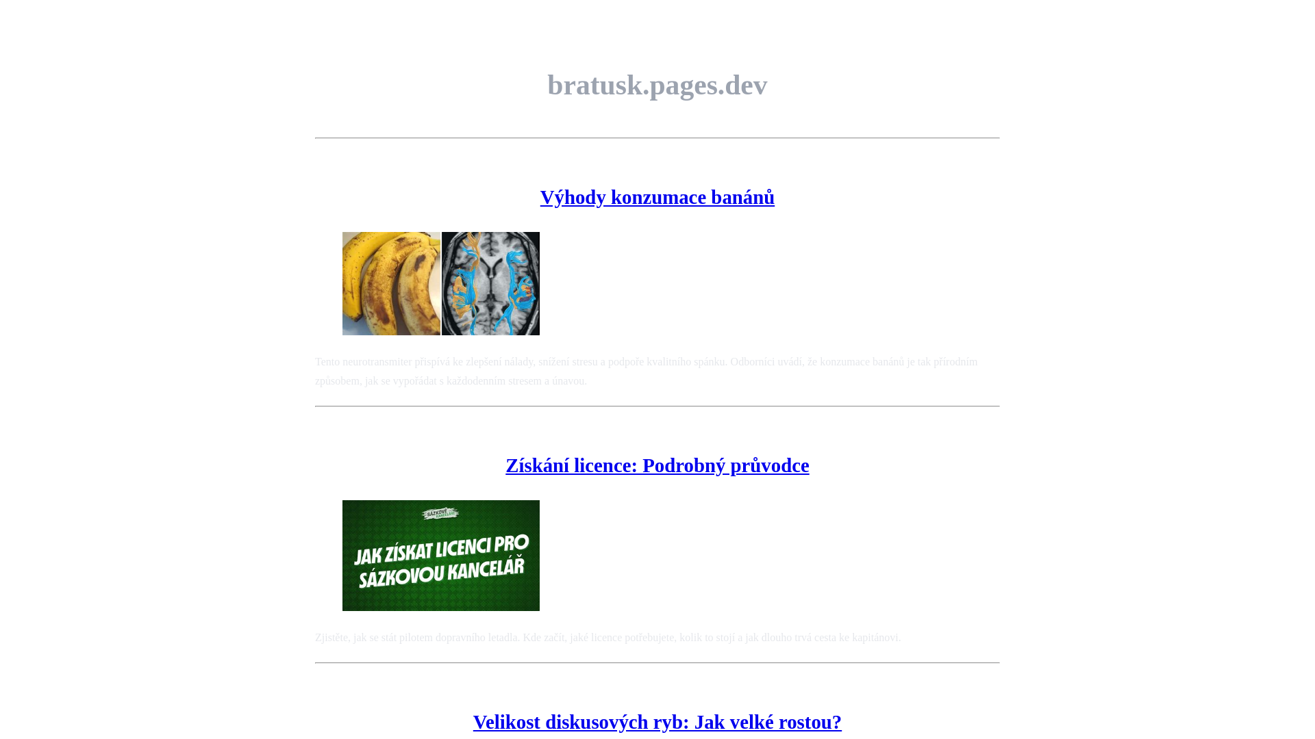 website screenshot of https://bratusk.pages.dev/