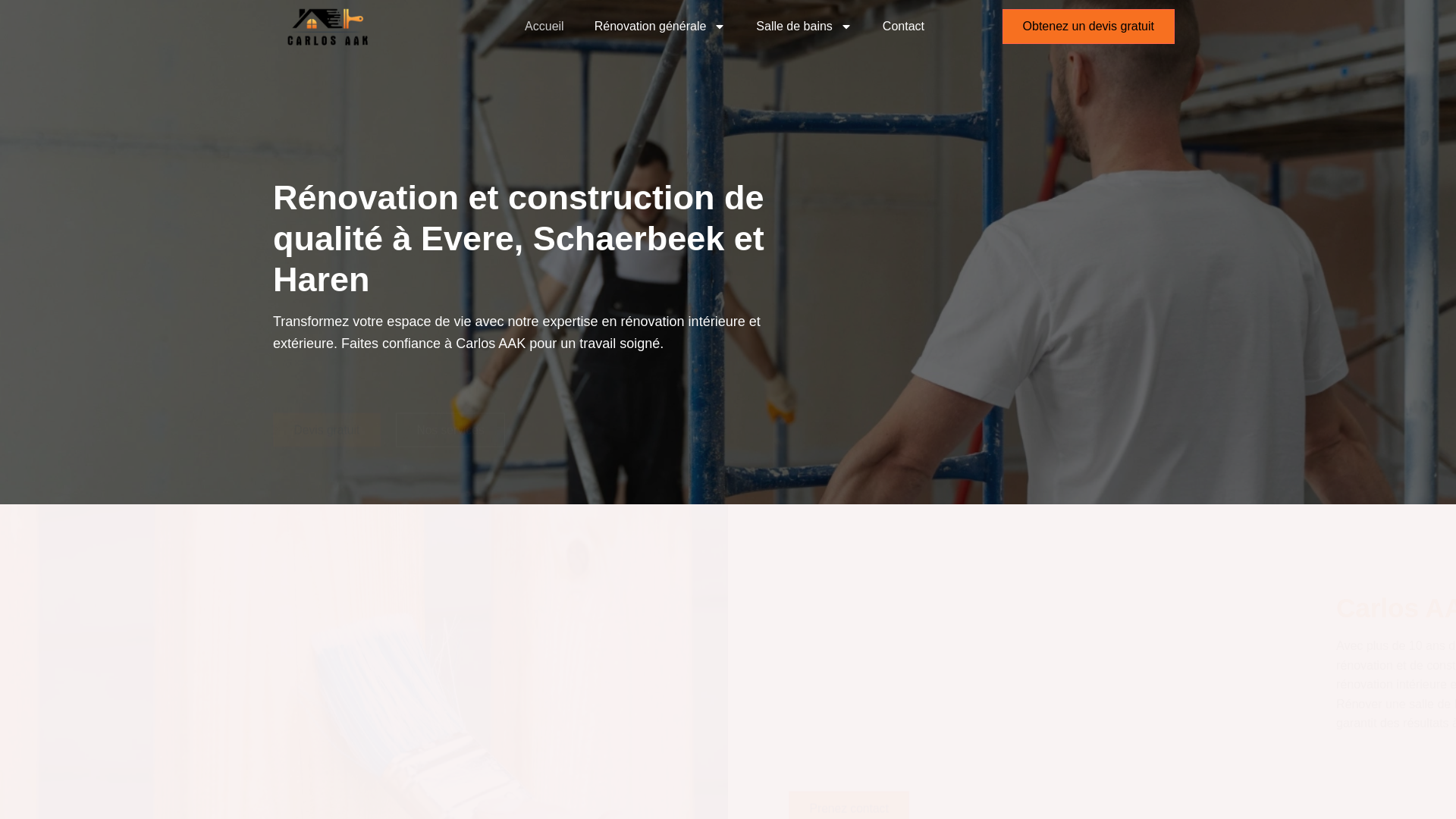 website screenshot of https://carlosaak.com/