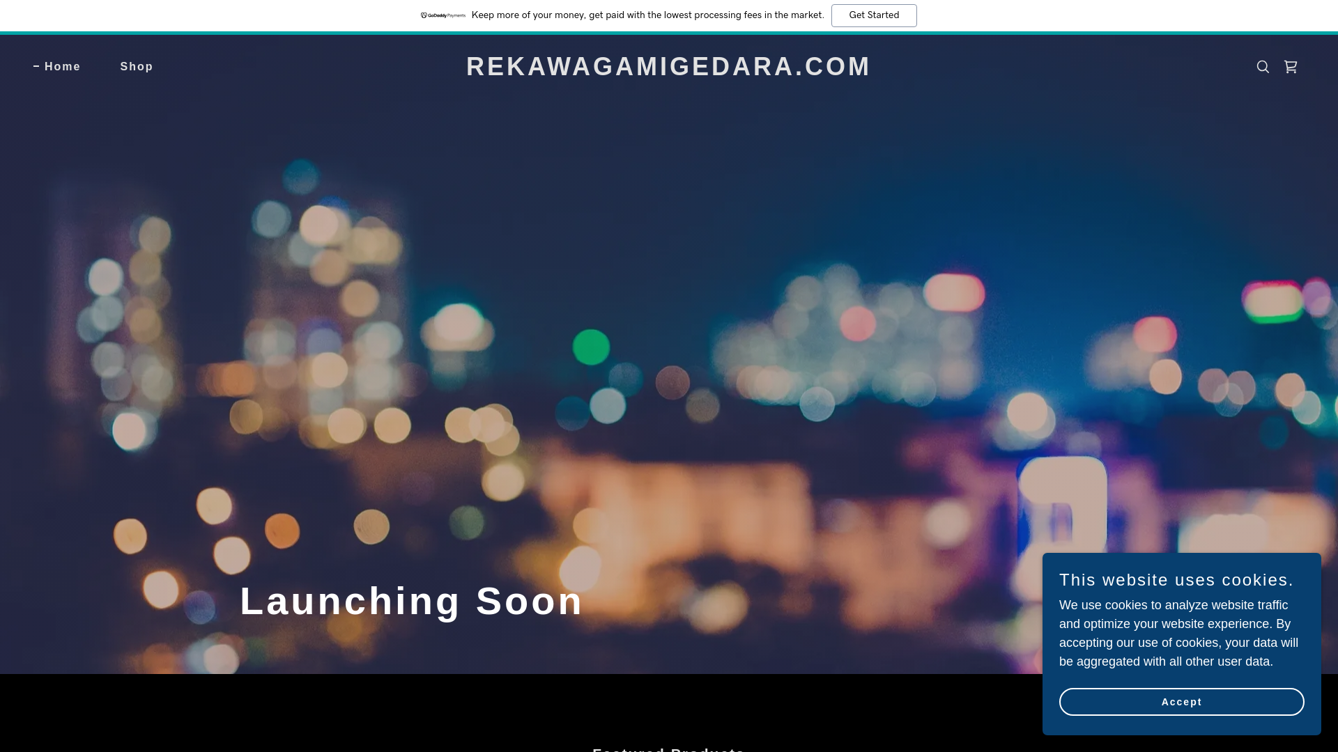 website screenshot of https://rekawagamigedara.com/