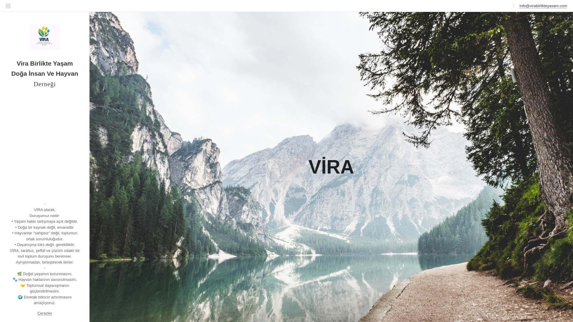 website screenshot of https://virabirlikteyasam.com/