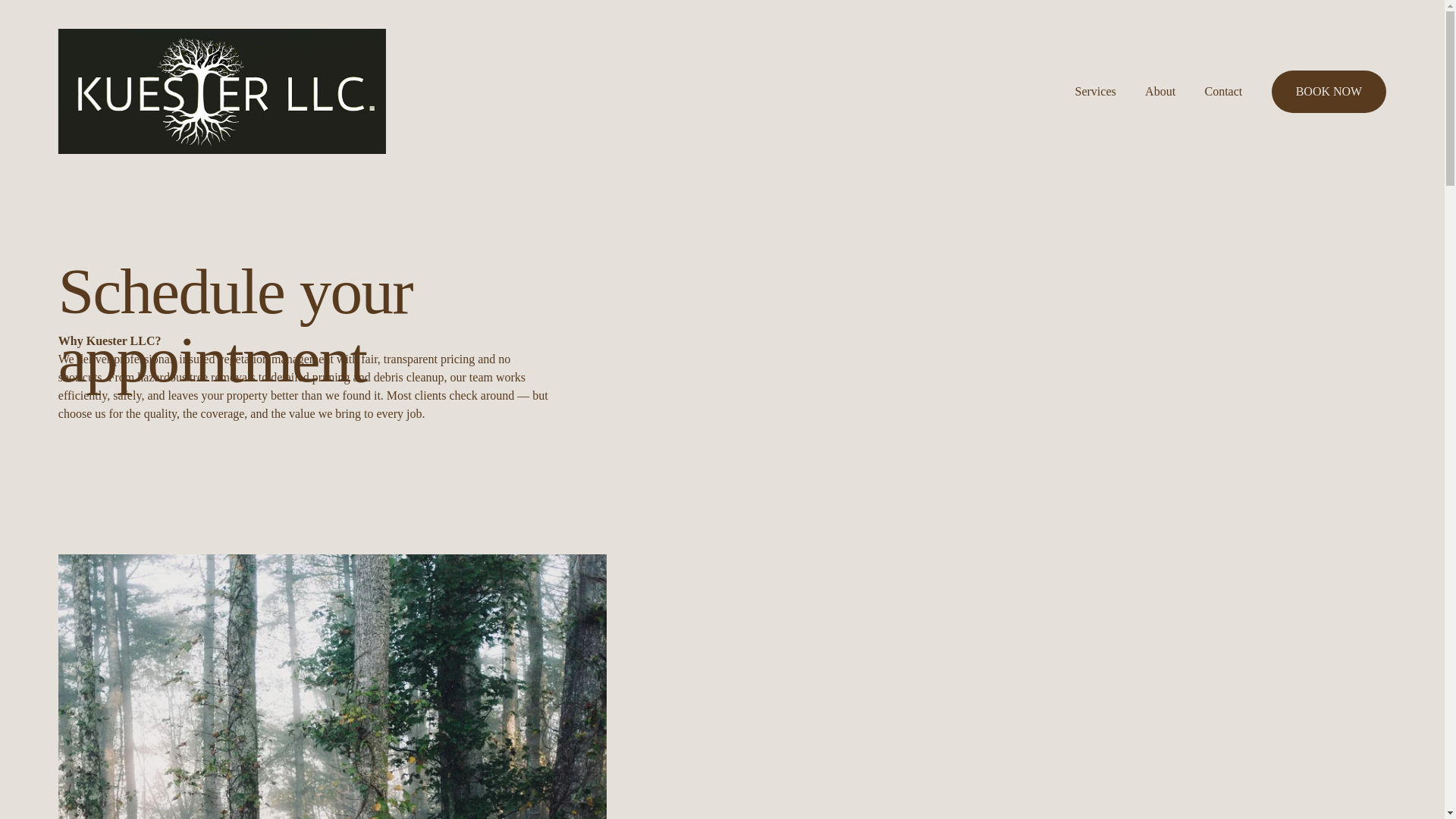website screenshot of https://kuesterllc.com/