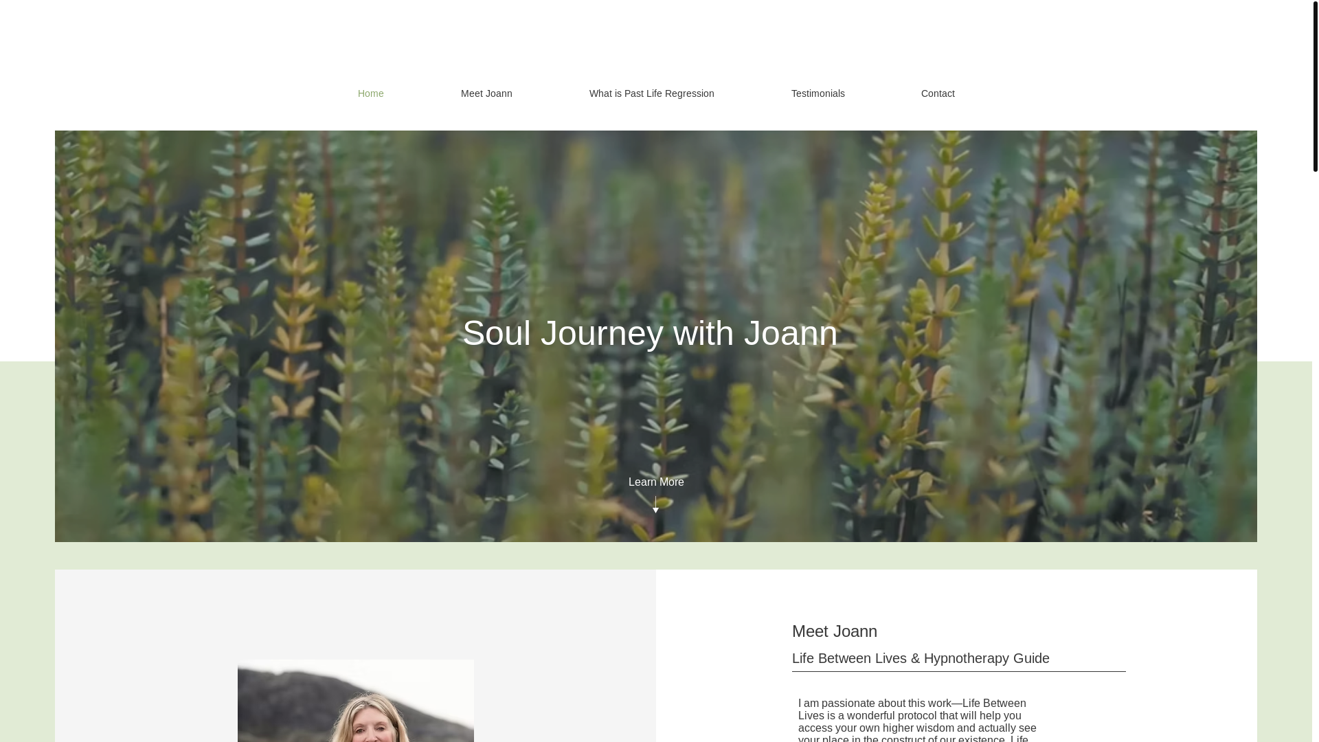 website screenshot of https://souljourneywithjoann.com/
