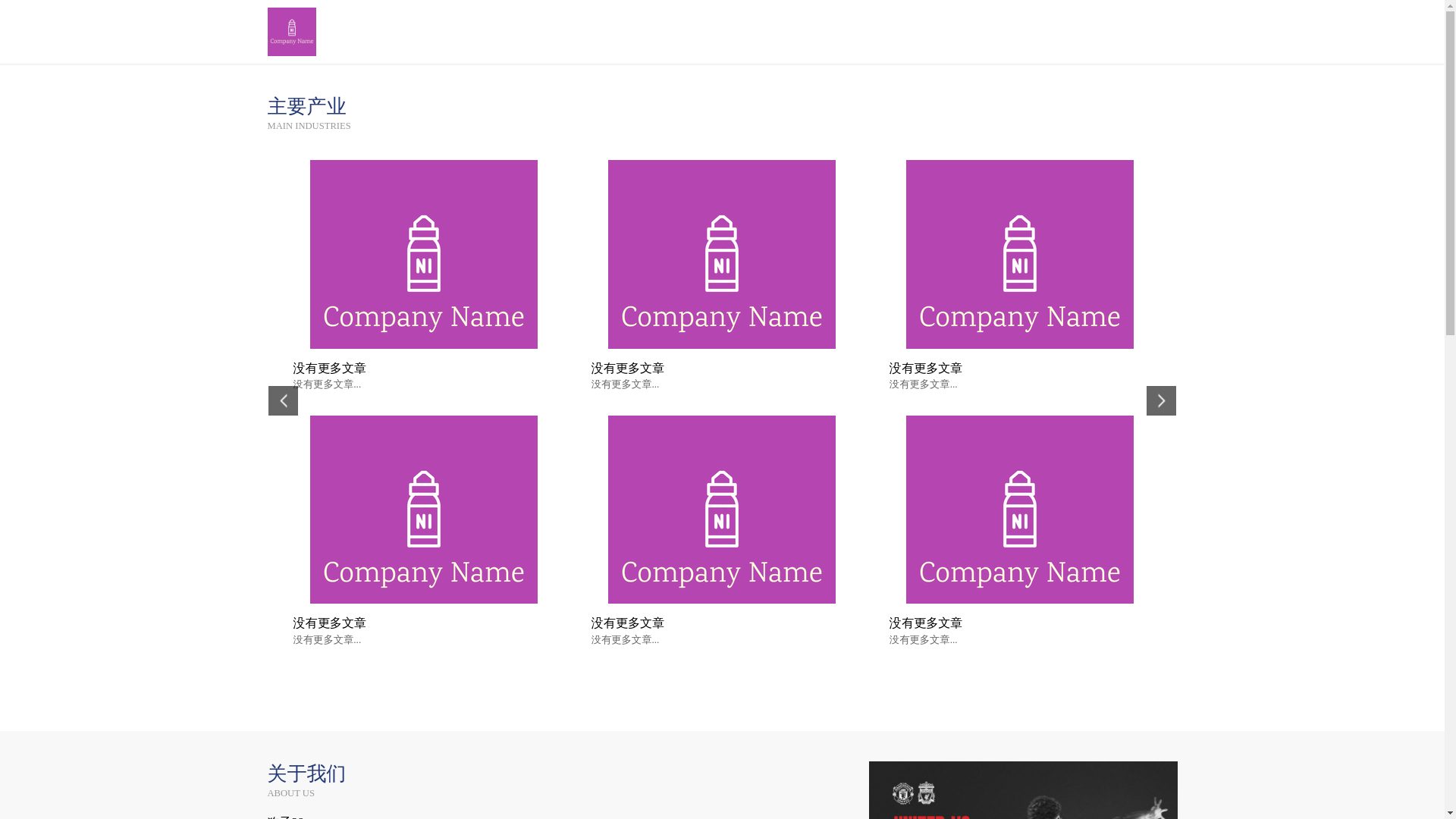 website screenshot of https://china-28dog.com/