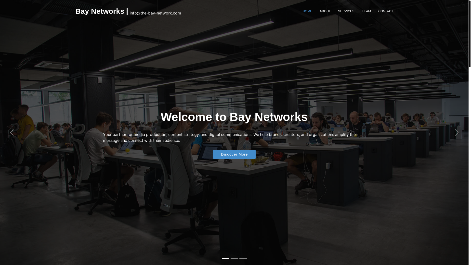 website screenshot of https://the-bay-network.com/