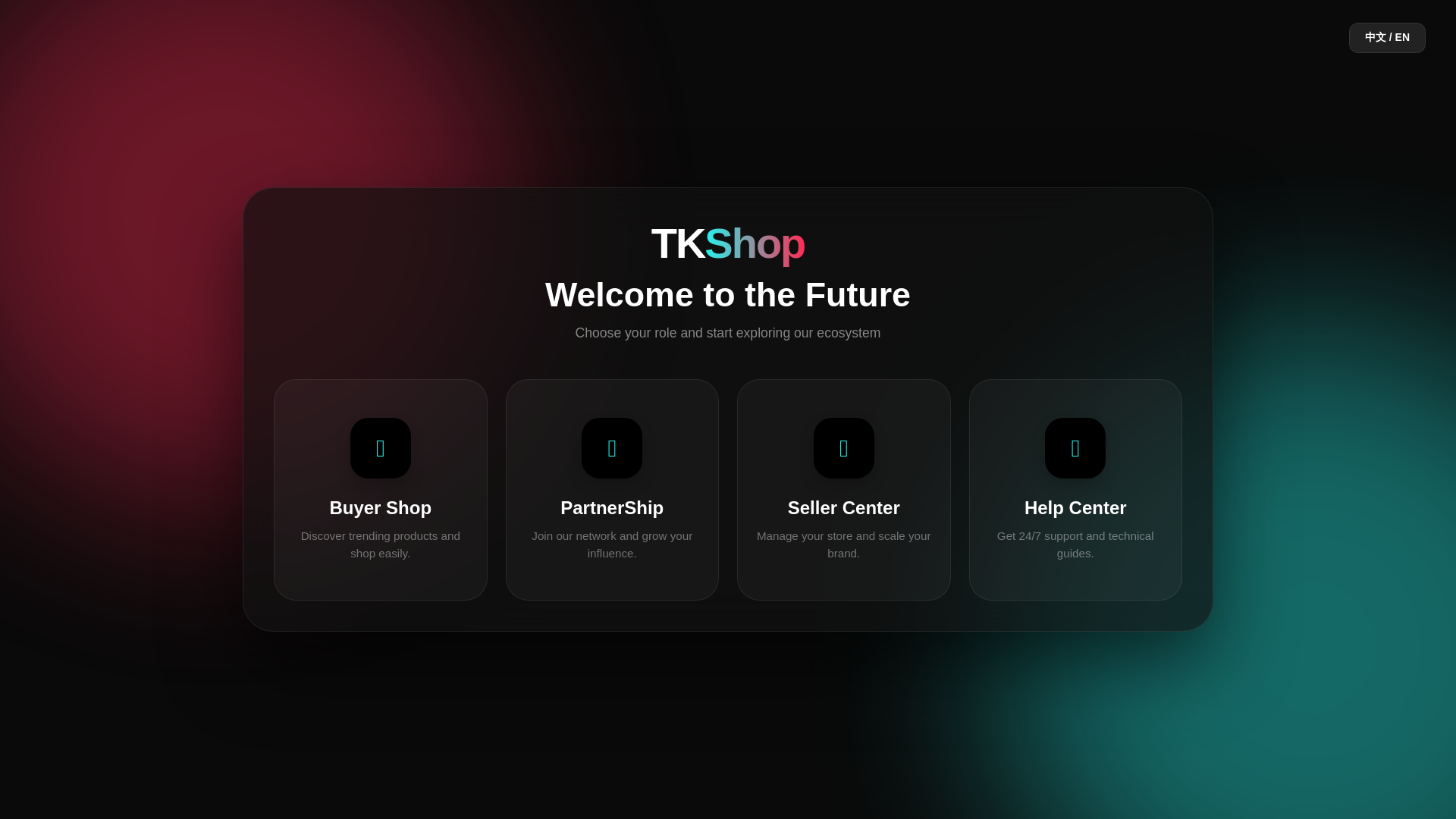 website screenshot of https://vtkphi.com/