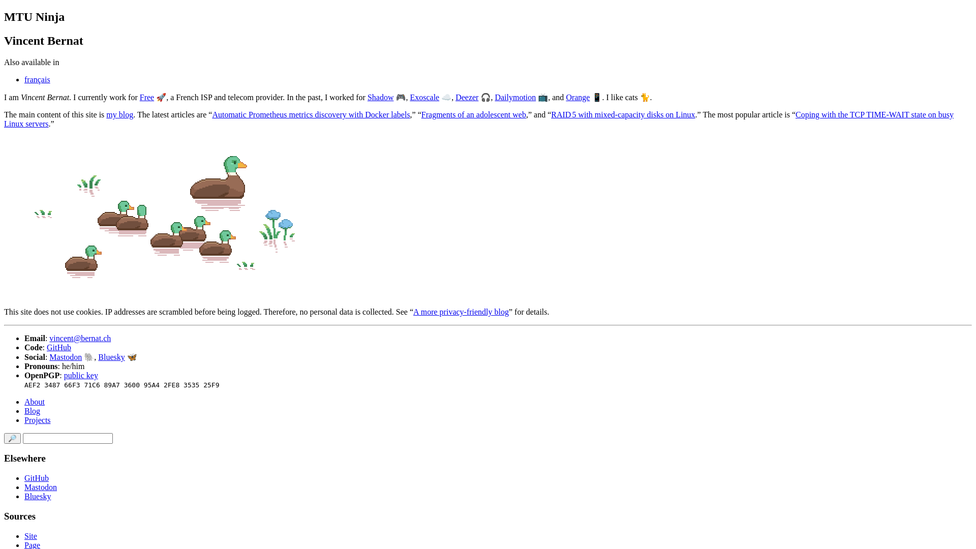 website screenshot of https://vincent.bernat.ch/en
