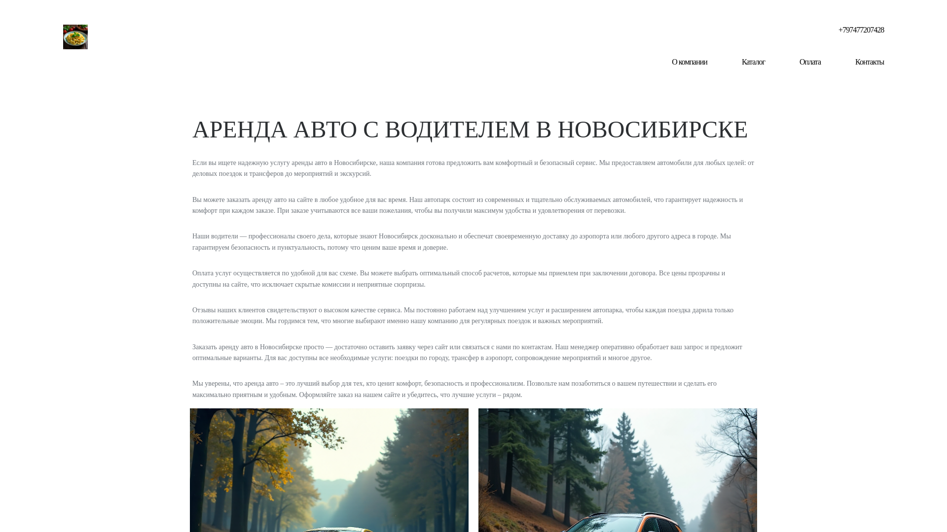 website screenshot of https://arenda-avto-s-voditelem03.ru