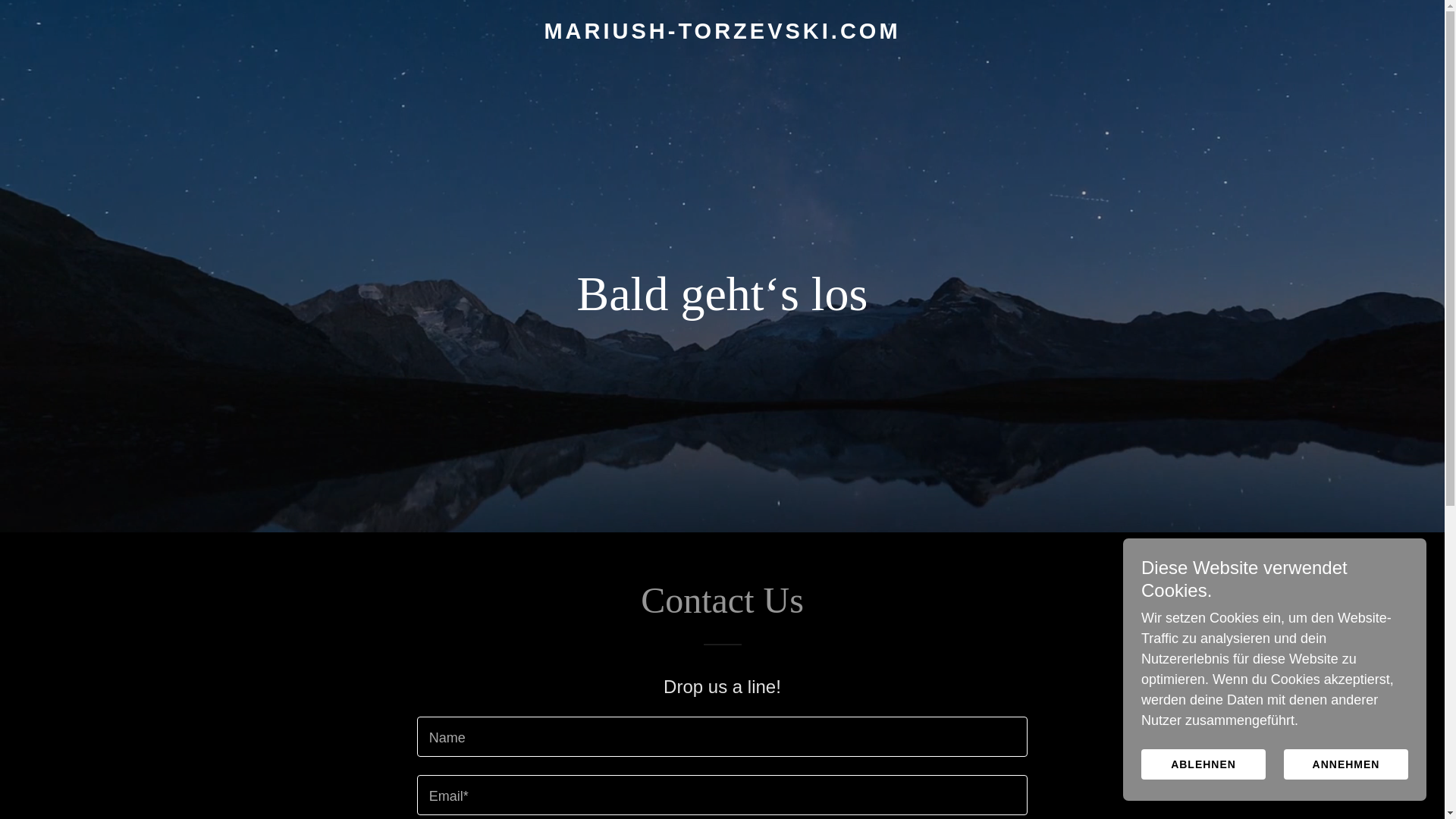 website screenshot of https://mariush-torzevski.com/