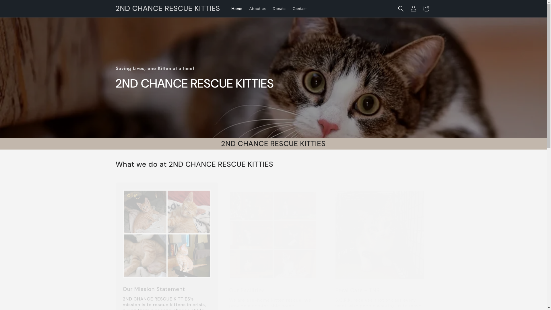 website screenshot of https://2ndchancerescuekitties.online/