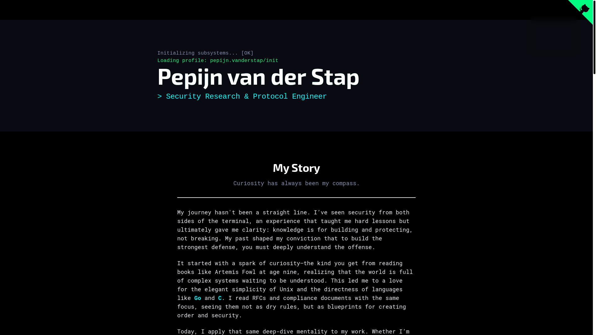 website screenshot of https://amirazagouag.nl/