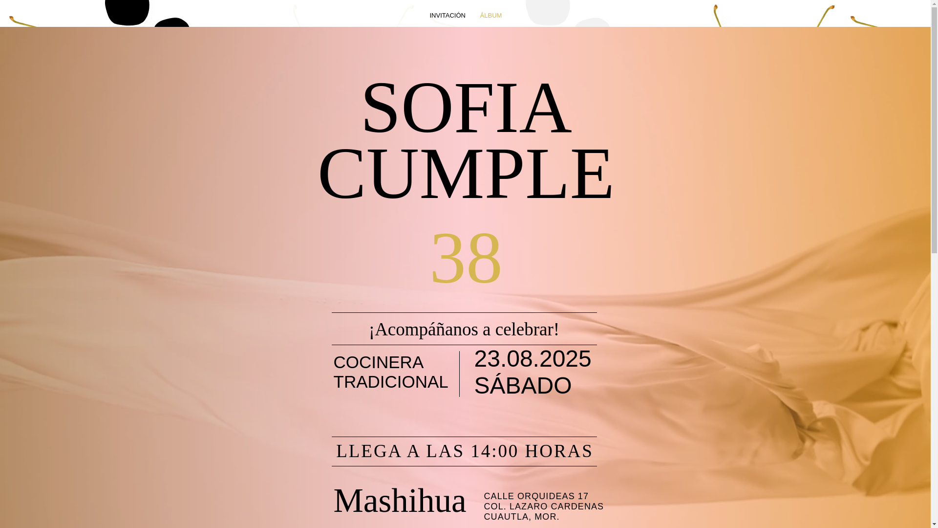 website screenshot of https://cocinerasofiacruz.com/