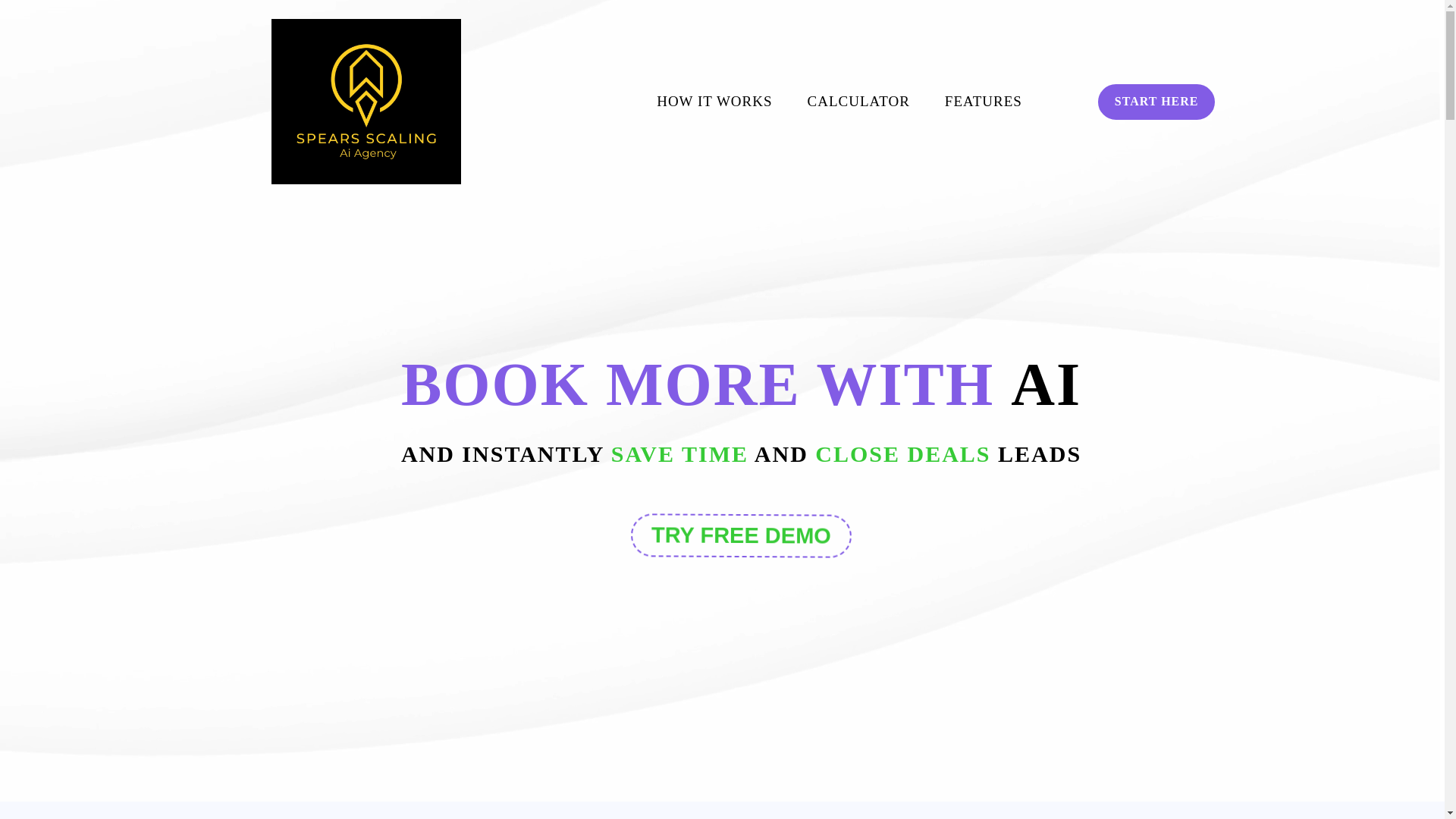 website screenshot of https://spears-scaling.com/