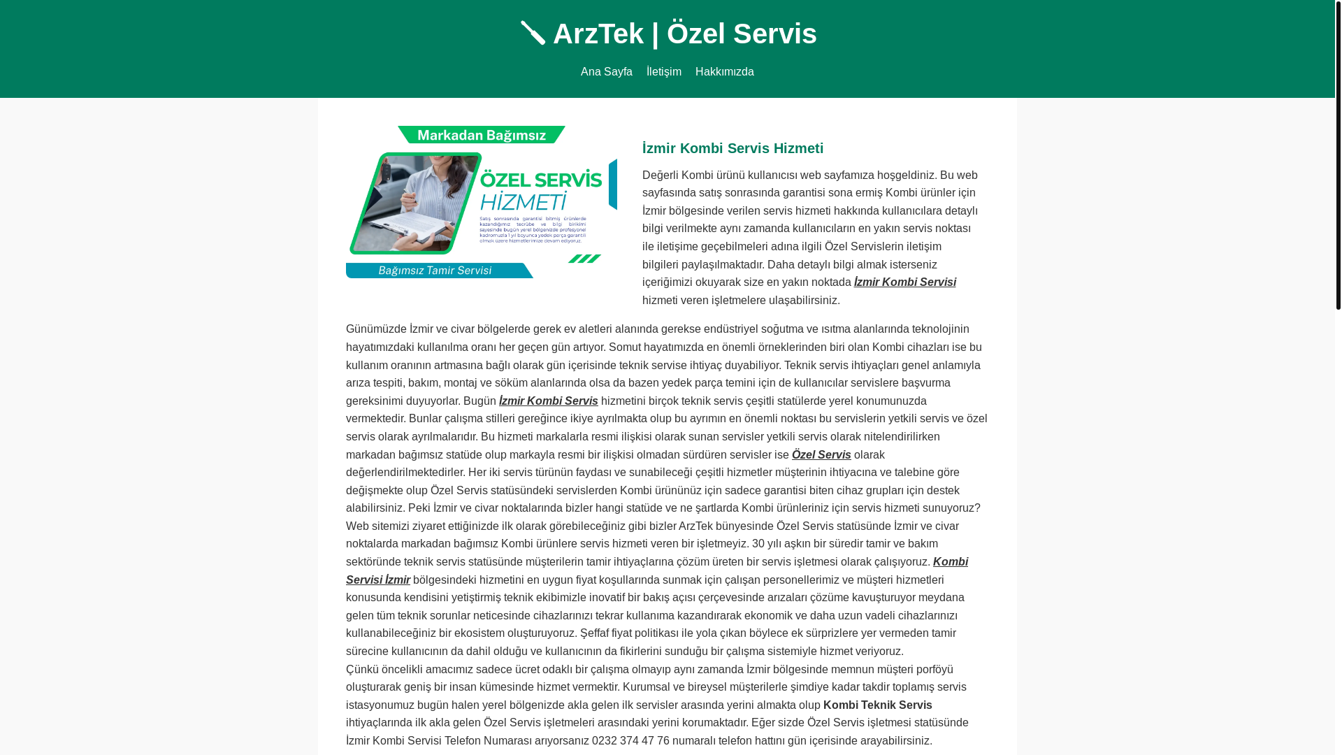 website screenshot of https://izmirkombitamircisi.name.tr/