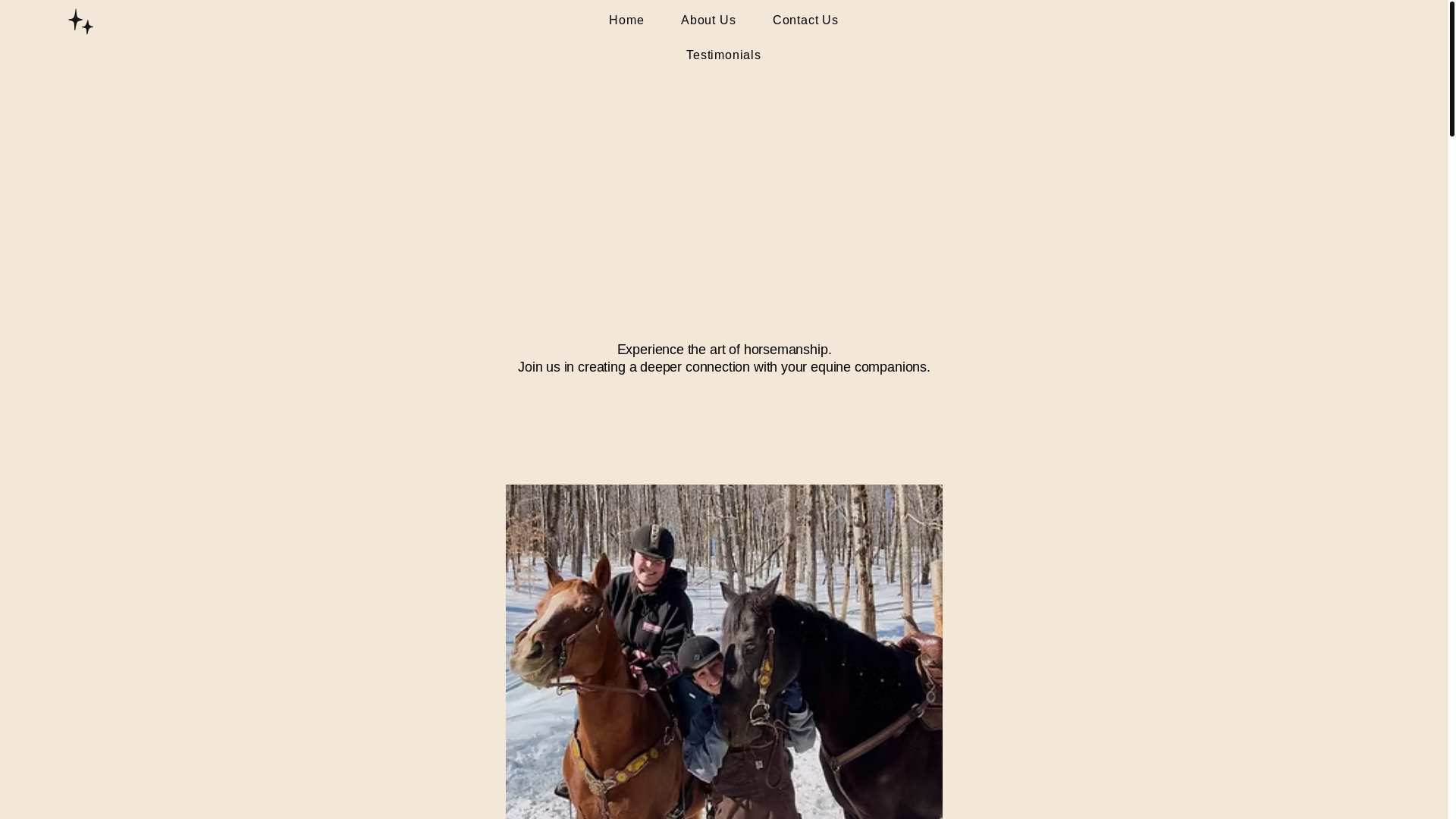website screenshot of https://constellation-horsemanship.com/
