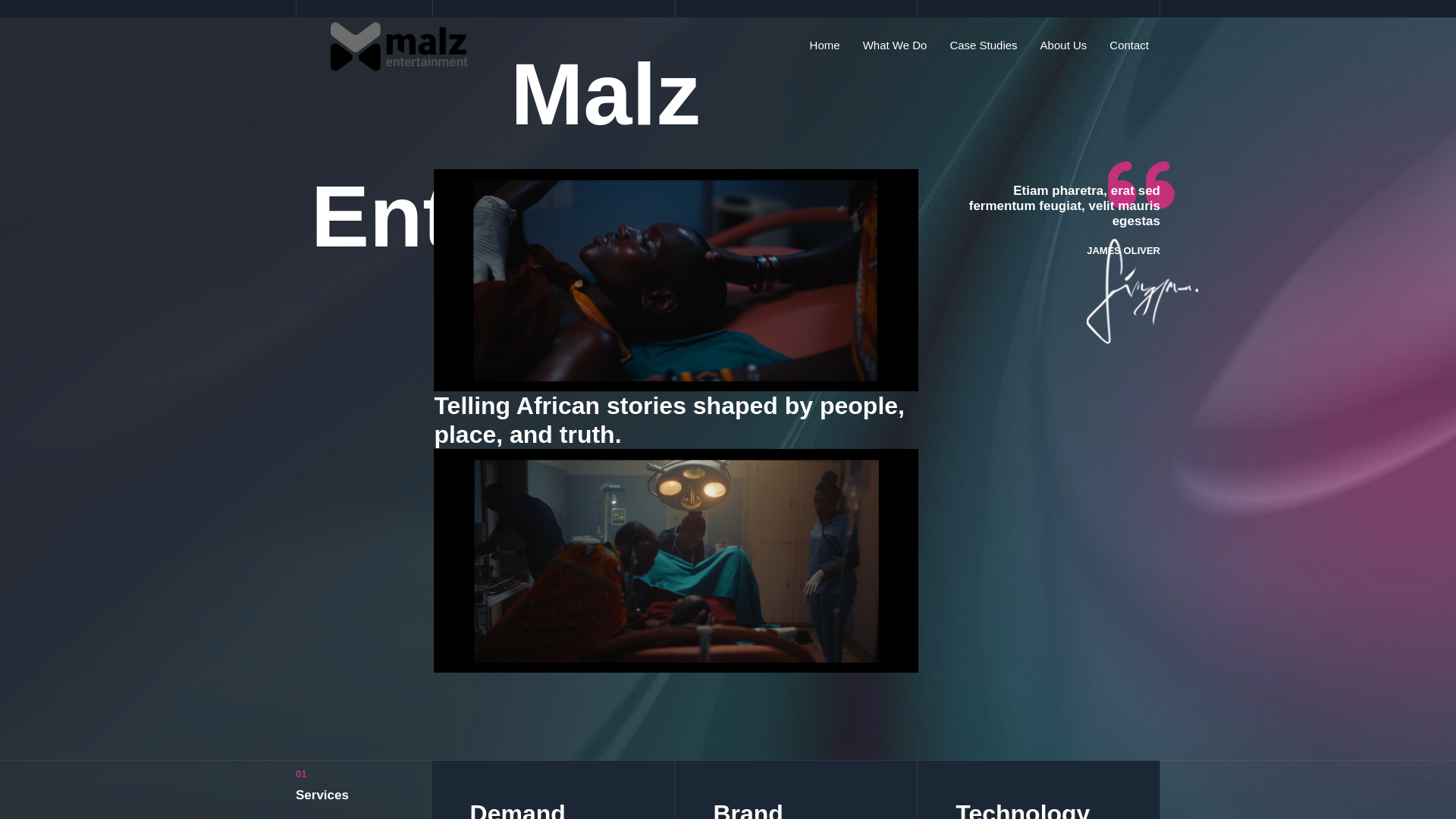 website screenshot of https://malzentertainment.com