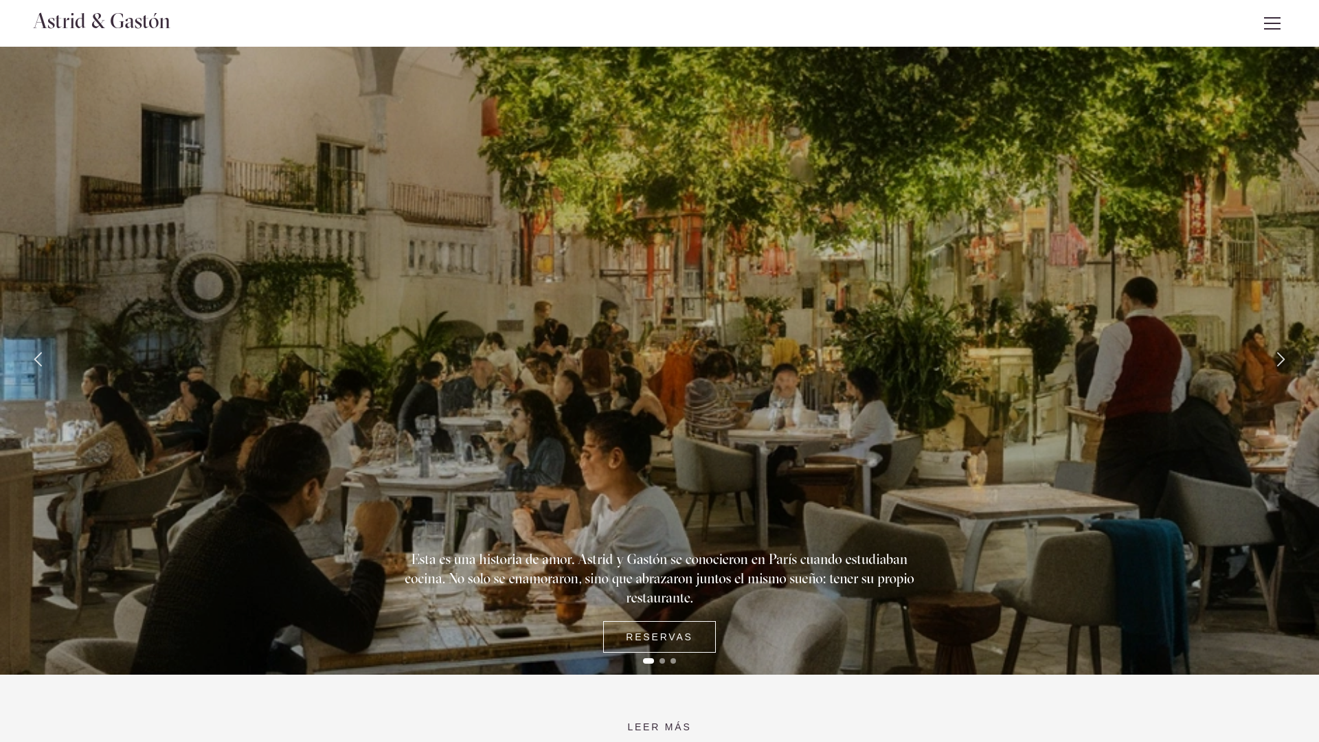 website screenshot of https://astridygaslon.mom/