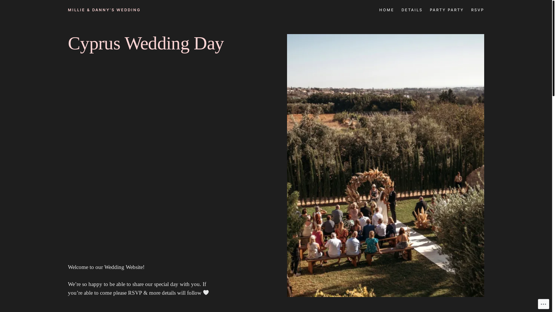website screenshot of https://milliedannyswedding.blog/