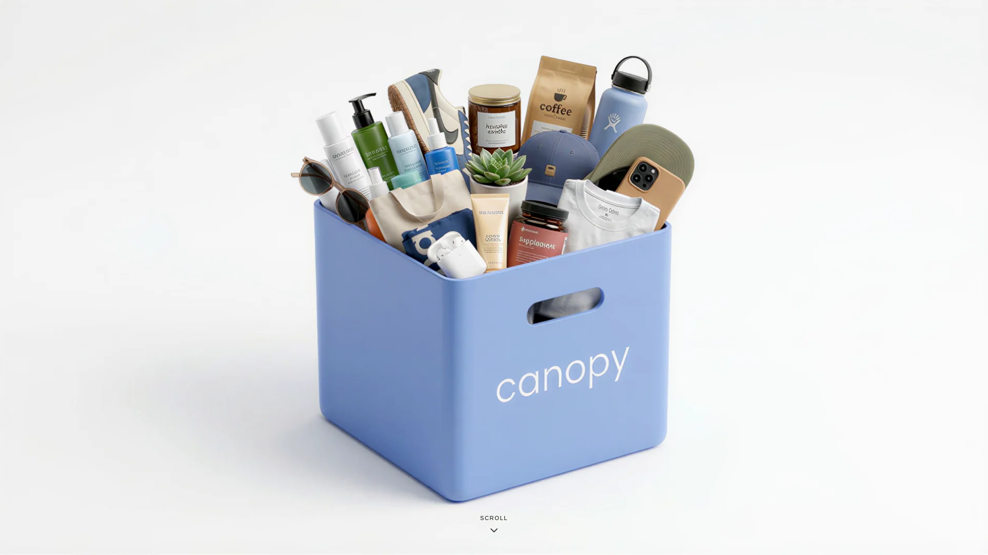 website screenshot of https://getcanopywms.com