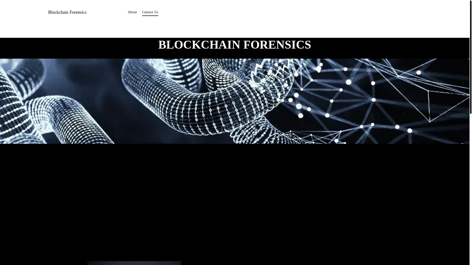 website screenshot of https://blockforensic.net/