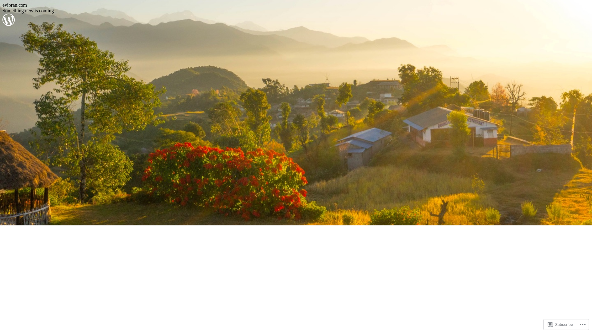 website screenshot of https://evibran.com/