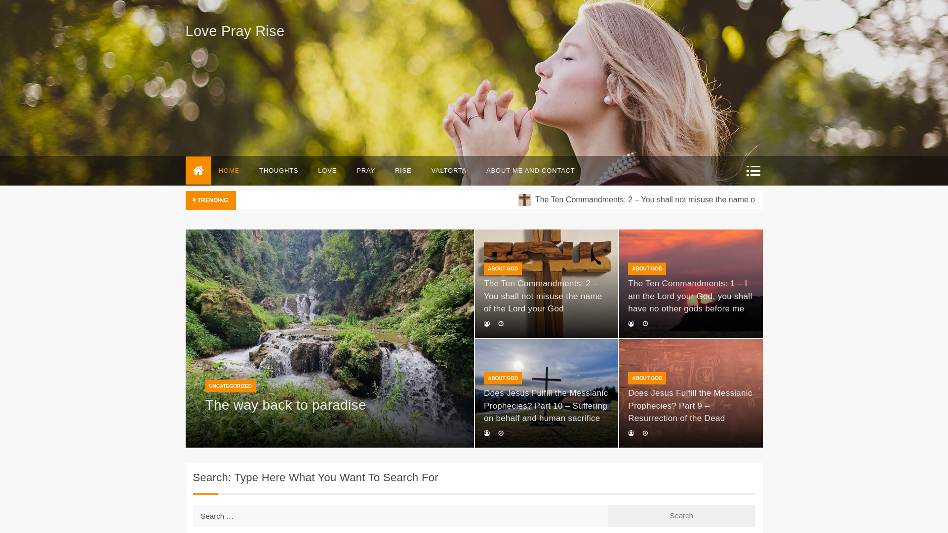 website screenshot of https://loveprayrise.org/