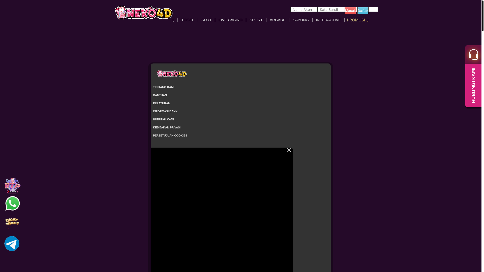 website screenshot of https://pasticuanneko.ink/