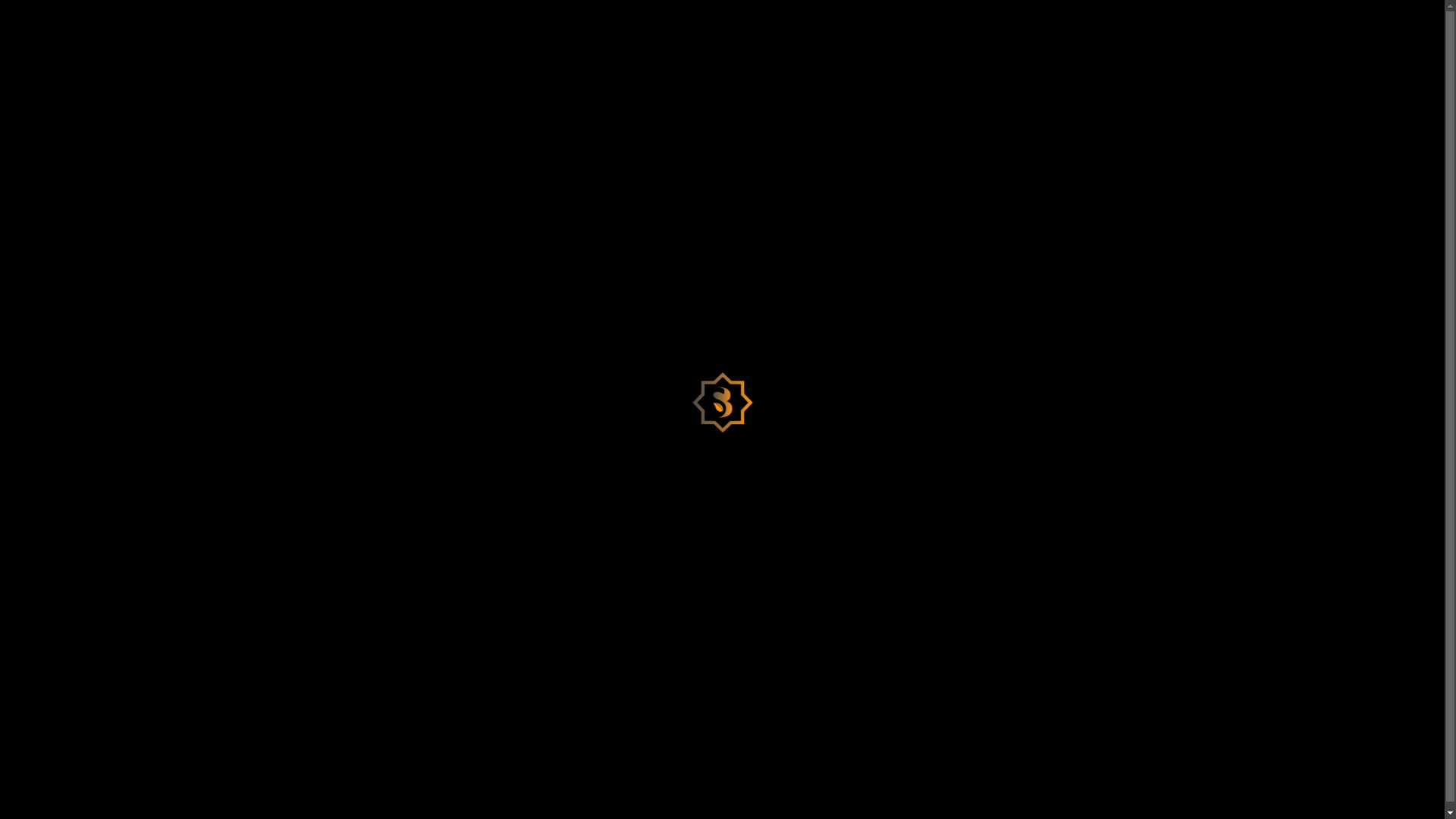 website screenshot of https://ssidrachain.com/