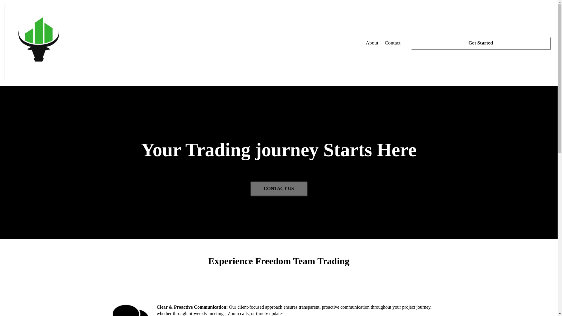 website screenshot of https://freedomteamtrade.net/