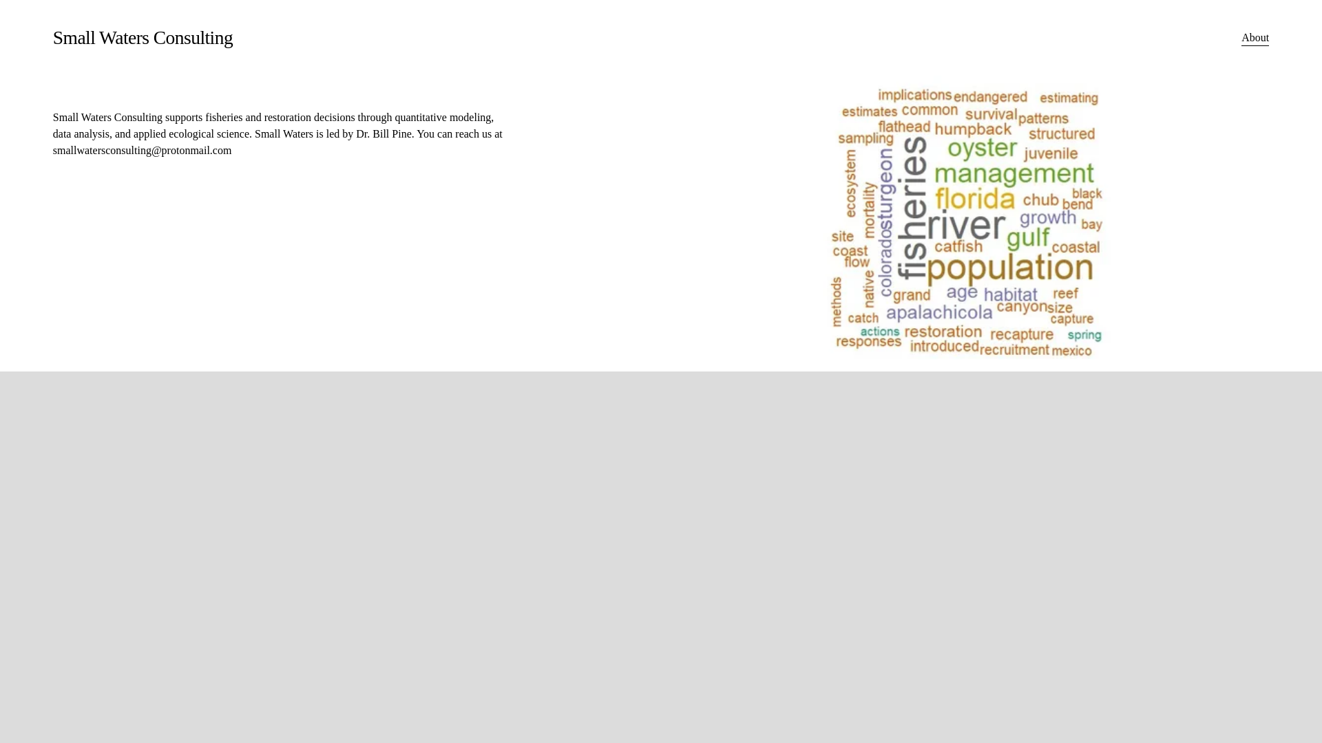 website screenshot of https://smallwatersconsulting.com/