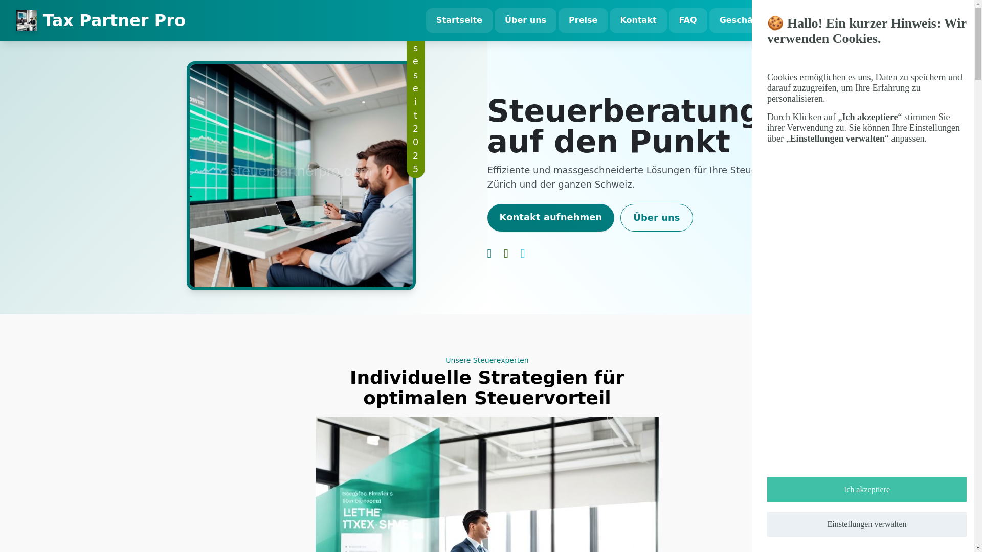 website screenshot of https://steuerpartnerpro.com/