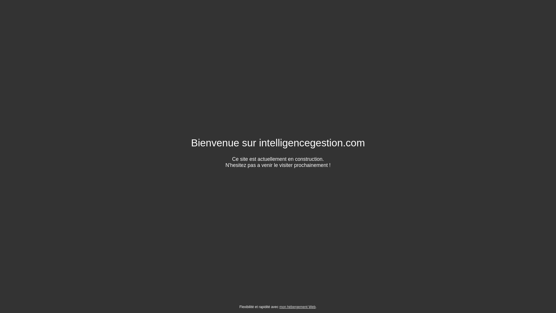 website screenshot of https://intelligencegestion.com/