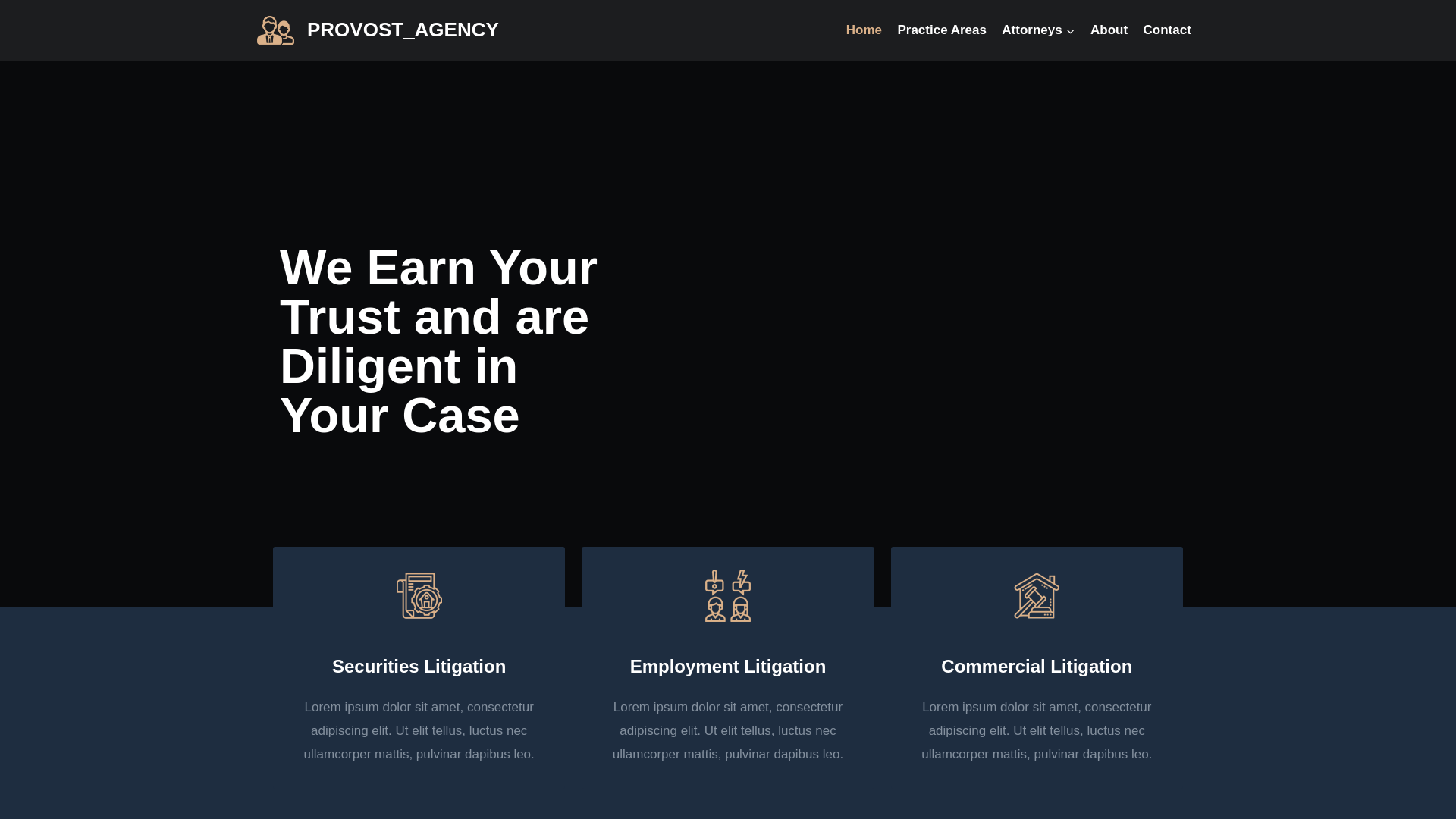 website screenshot of https://provostagency.site