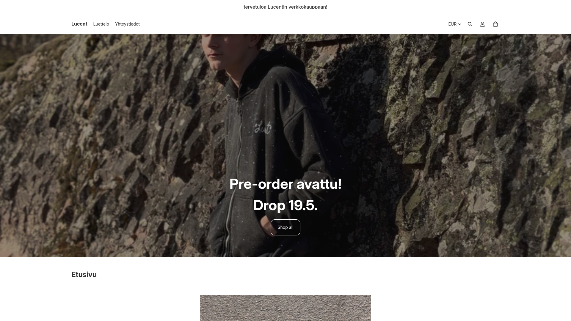 website screenshot of https://lucentfinn.com/