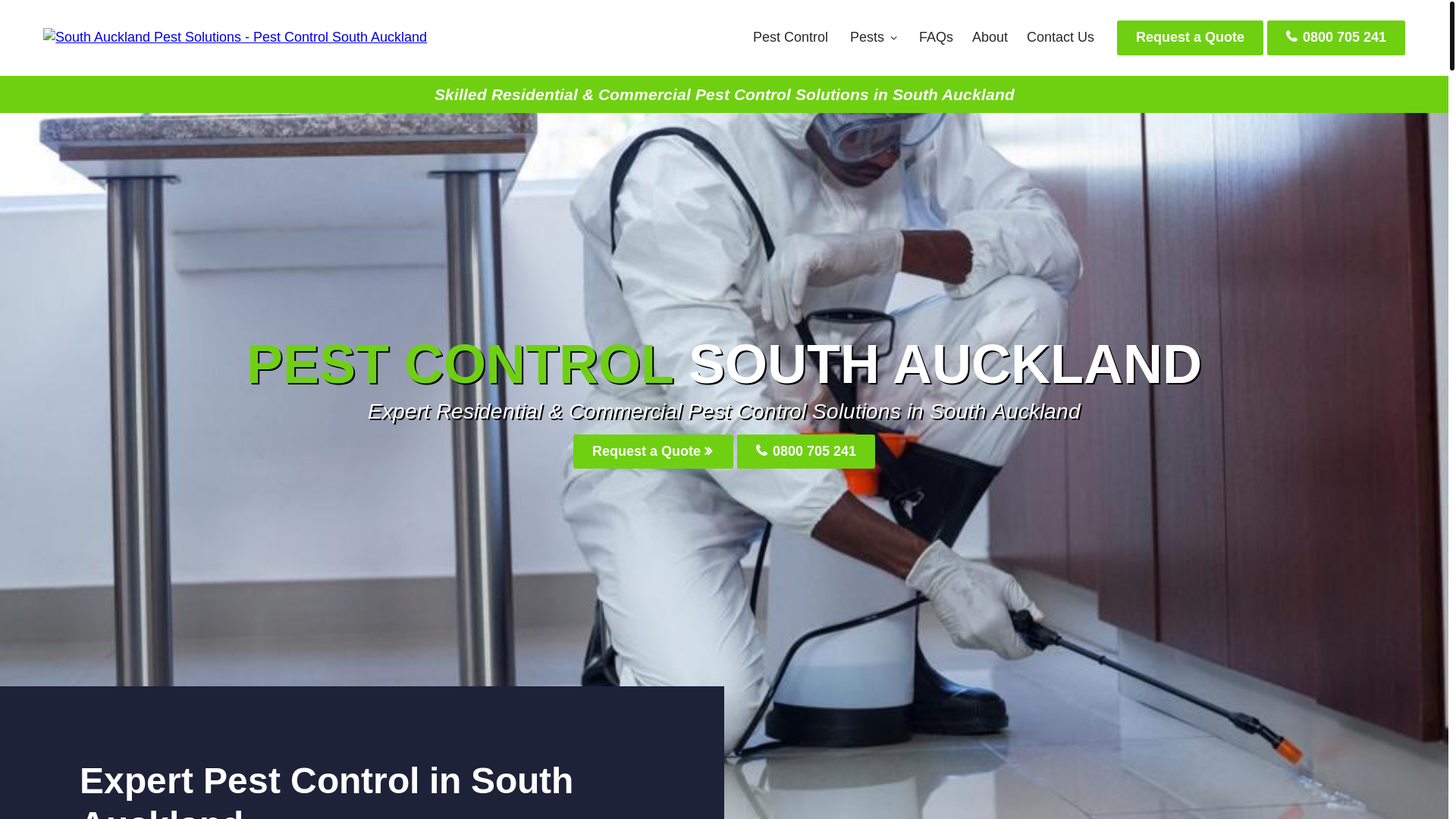 website screenshot of https://southaucklandpestsolutions-co-nz.pages.dev/