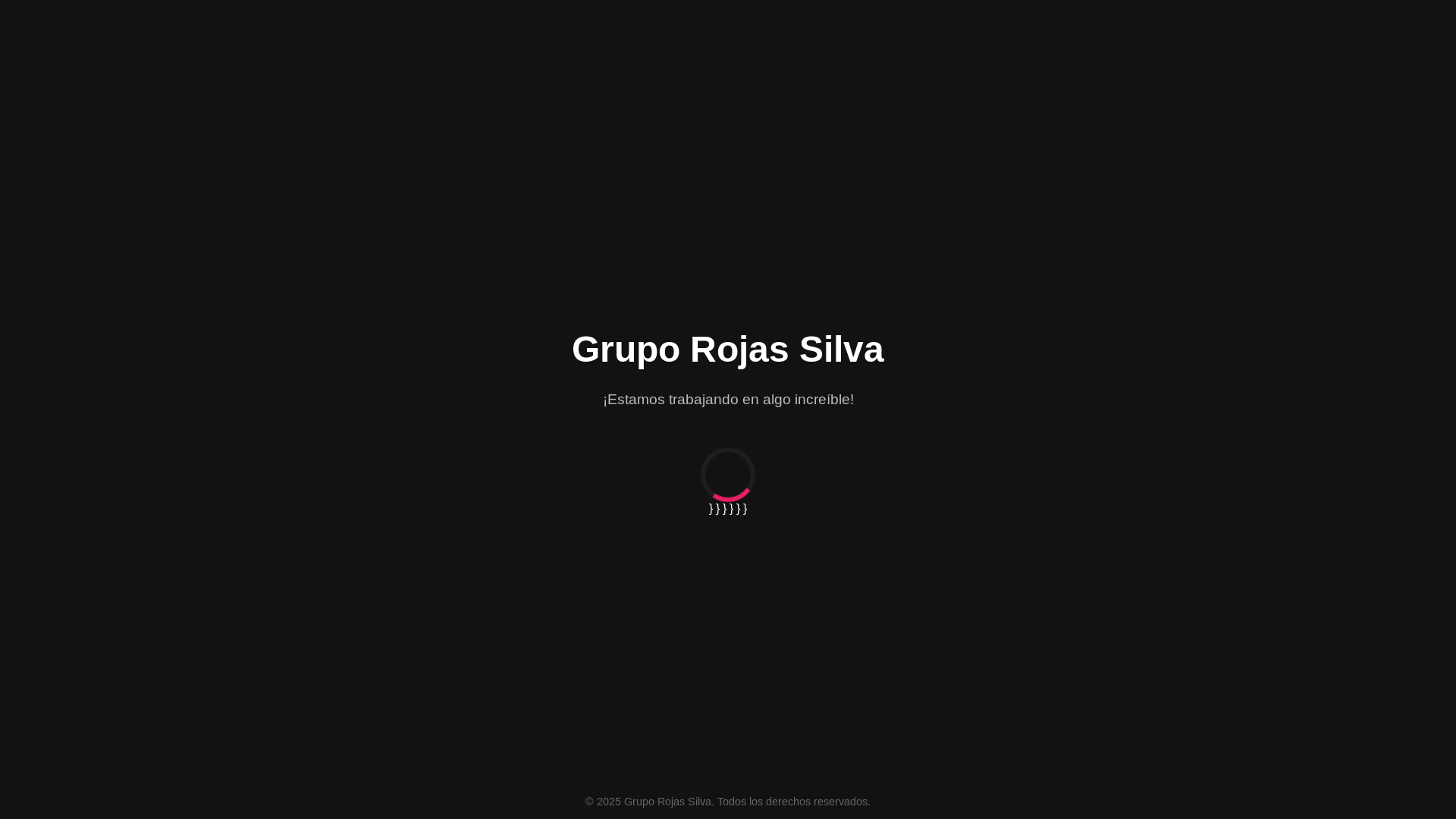 website screenshot of https://gruporojassilva.com/