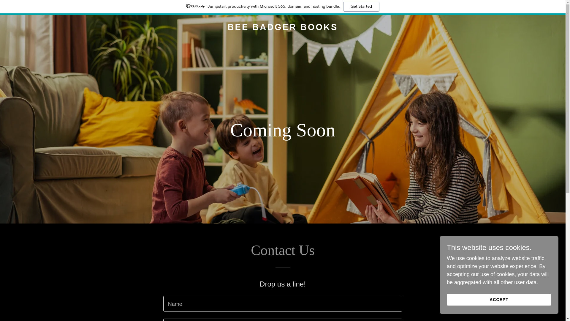 website screenshot of https://beebadgerbooks.com/