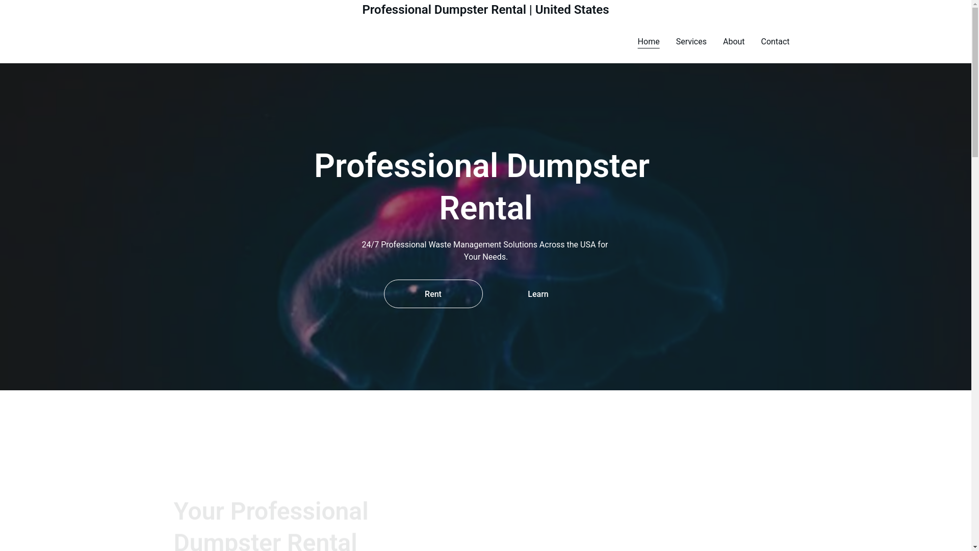website screenshot of https://professionaldumpsterrental.us/