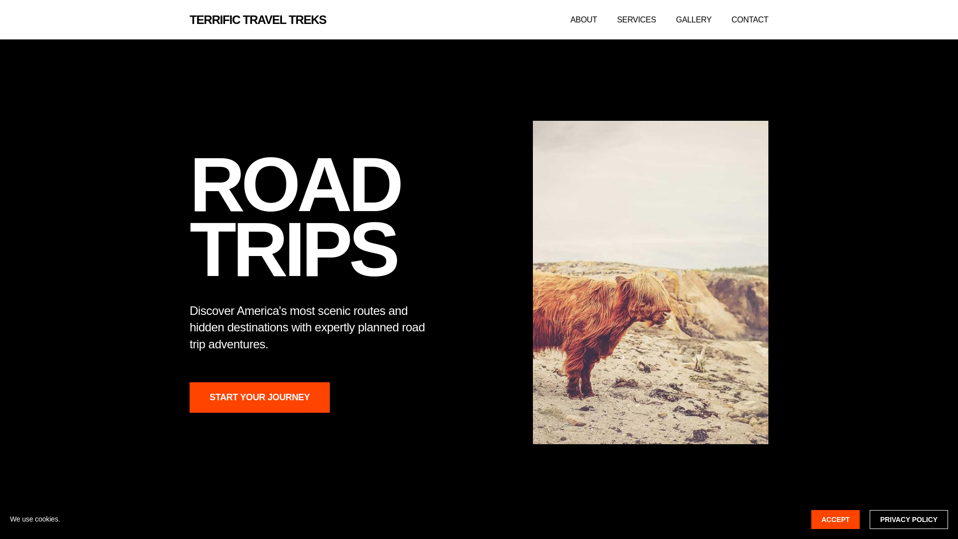 website screenshot of https://terrifictraveltreks.click/