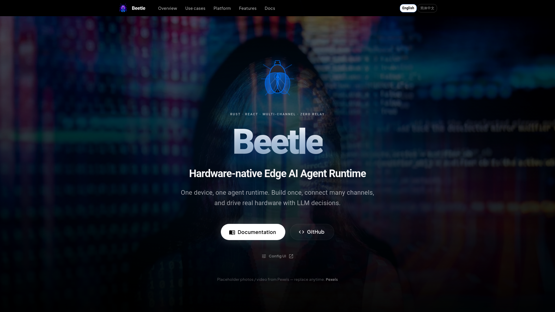 website screenshot of https://openbeetles.com