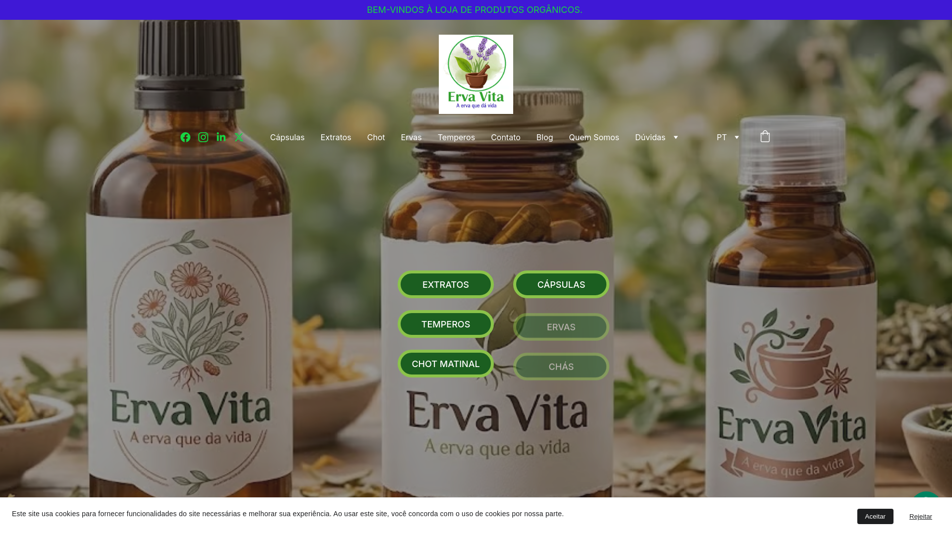 website screenshot of https://ervavita.com.br/