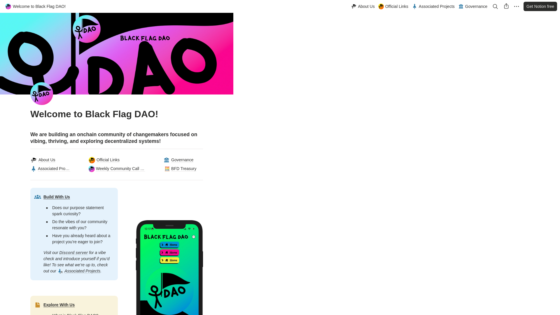 website screenshot of https://blackflagdao.notion.site/