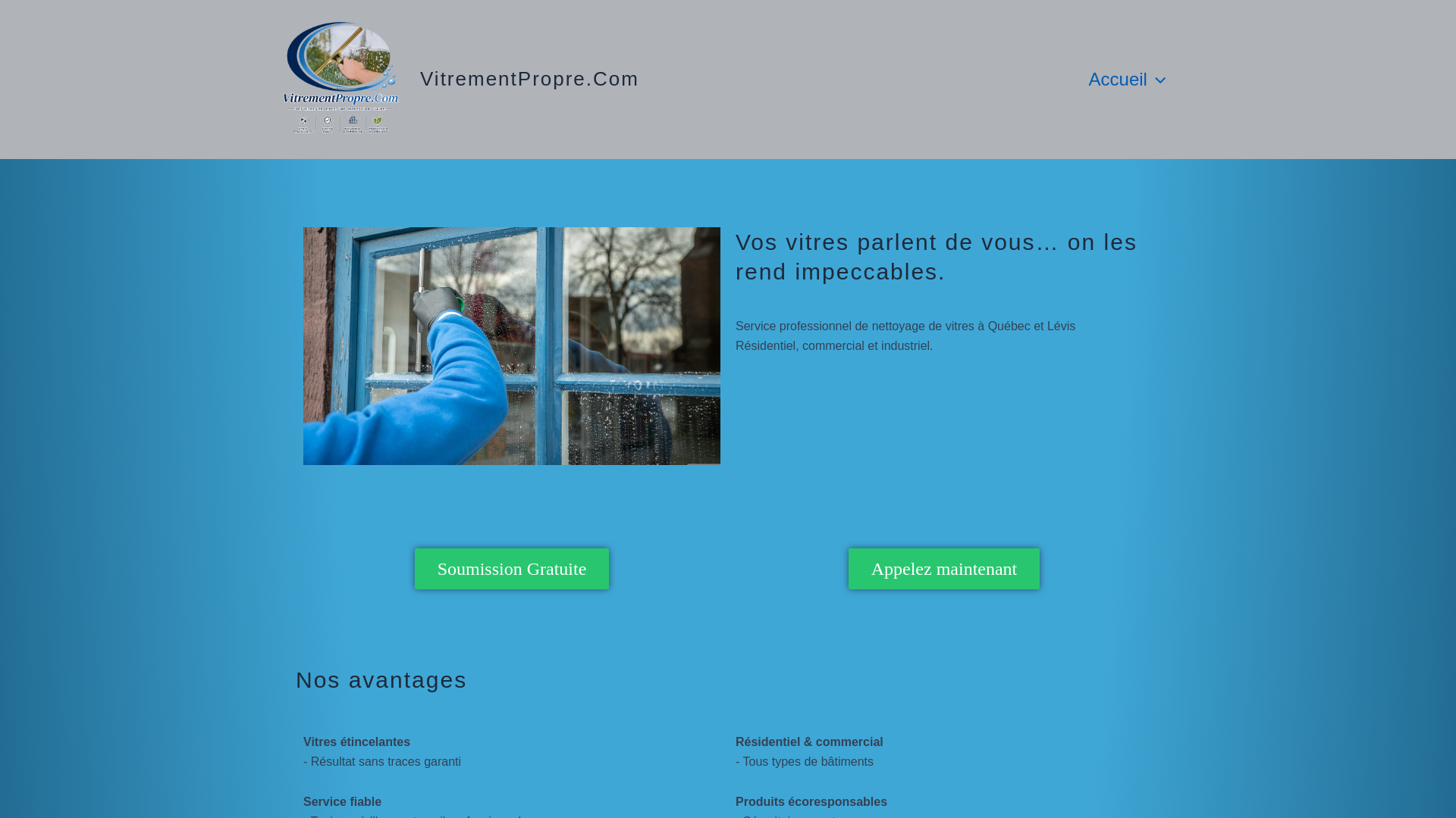 website screenshot of https://vitrementpropre.com